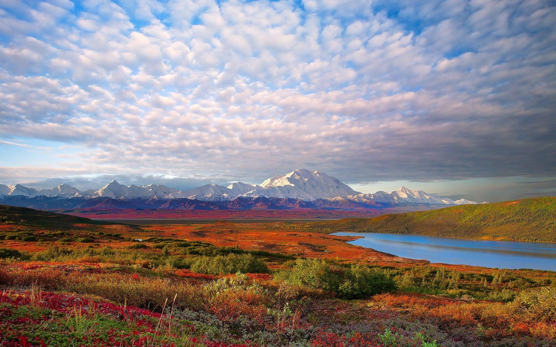 Denali National Park, Untouched wilderness, Majestic peaks, Wildlife sanctuary, 1920x1200 HD Desktop