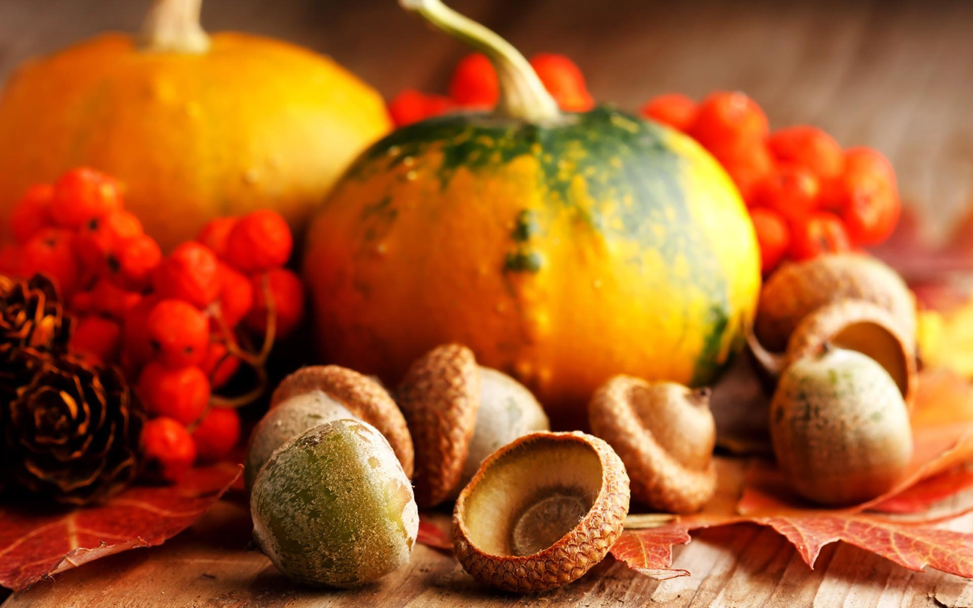 Nutritious acorn, Autumn harvest, Halloween tradition, Festive orange, 1920x1200 HD Desktop