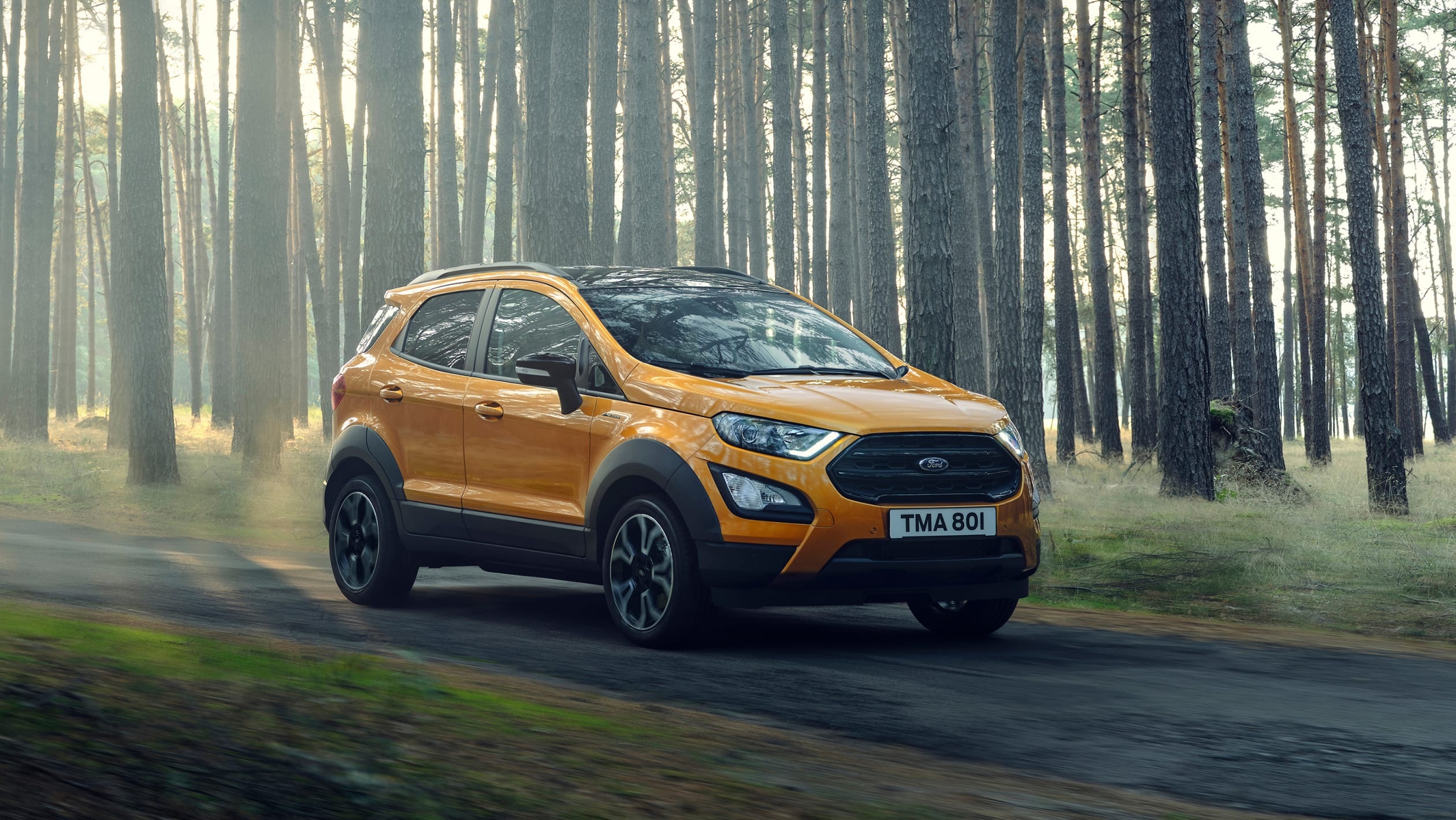 Ford EcoSport, Active lifestyle, Rugged version, Compact SUV, 2520x1420 HD Desktop
