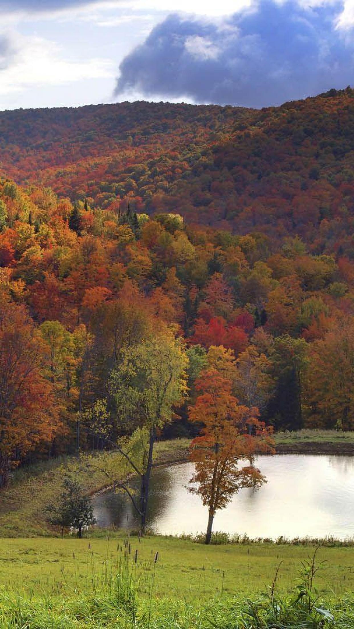 Autumn in Vermont, Serene lakes, Nature's beauty, Tranquil valley, 1250x2210 HD Handy