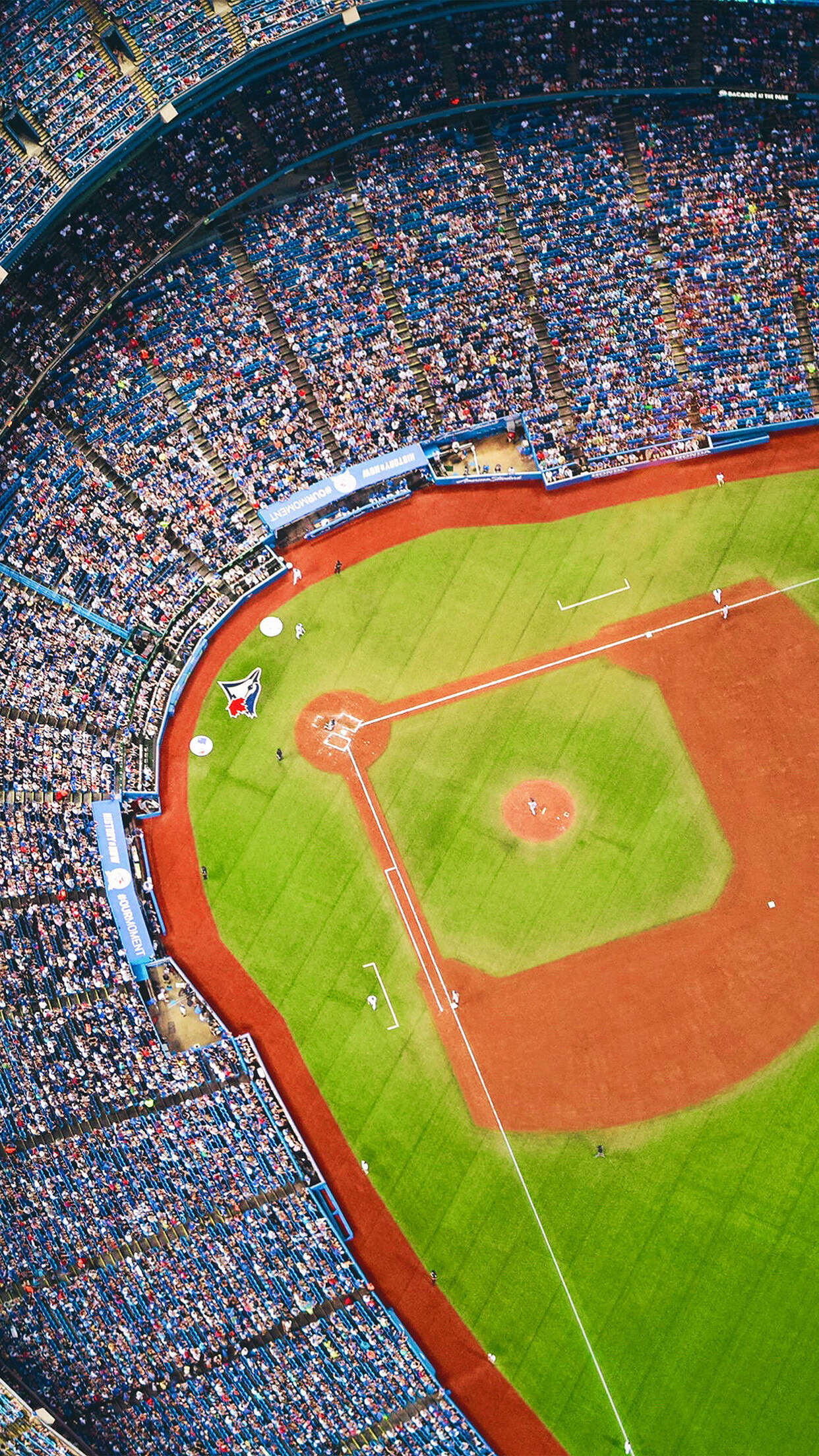 Blau Jays Baseballteam, Baseball im Rampenlicht, Baseballstadionansichten, Baseballfotografie, 1250x2210 HD Handy