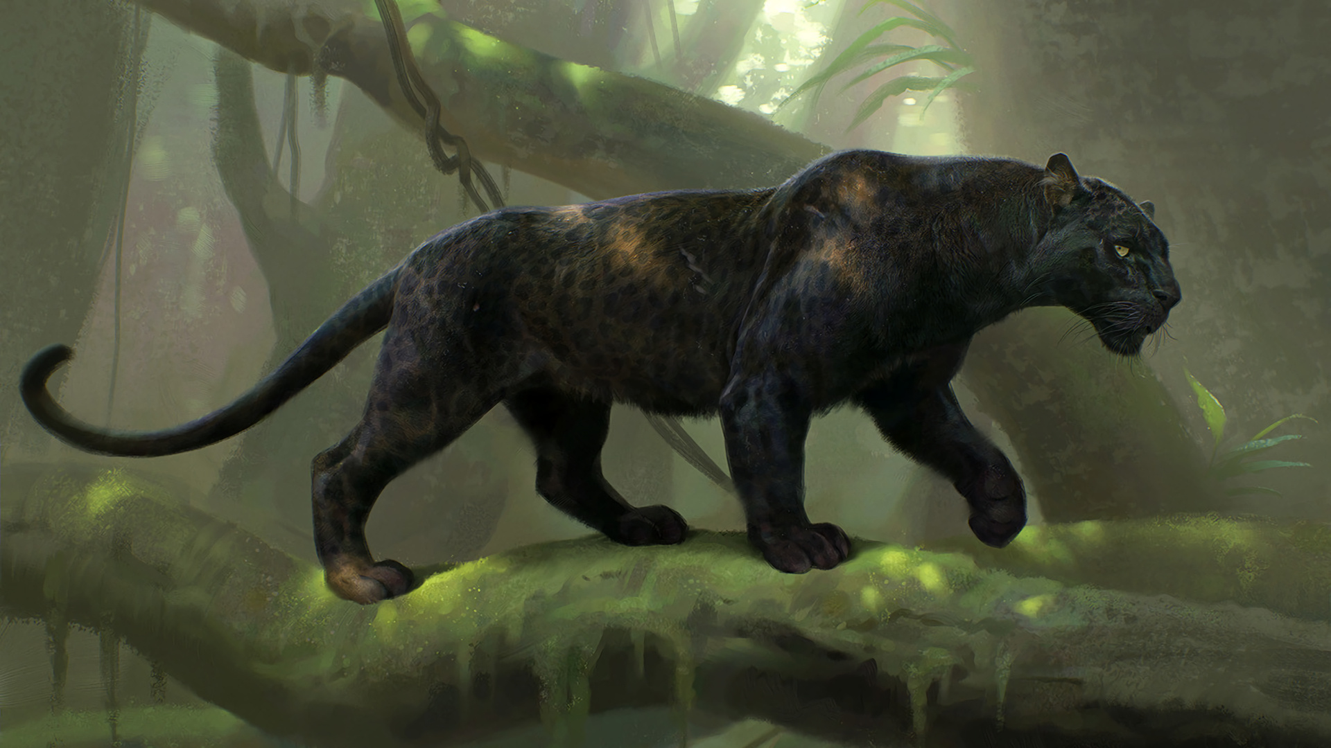 Black Panther (Animal): Meat eaters, Their food mainly includes herbivores like deer, wild hogs, and wild boar. 1920x1080 Full HD Wallpaper.