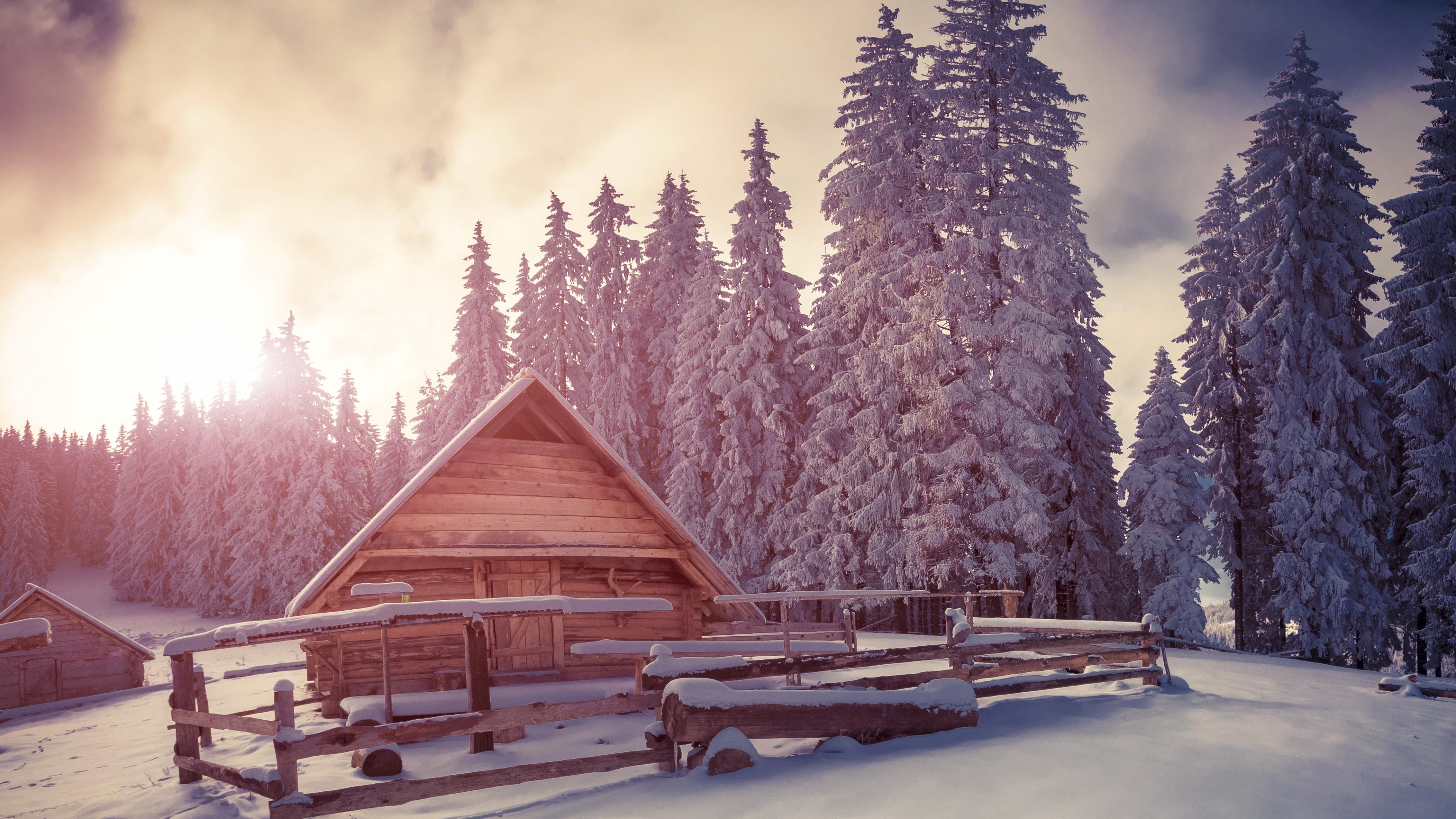 Log Cabin, Pine forest scene, Snowy sunset, Nature's tranquility, Alpine cottage, 3840x2160 4K Desktop