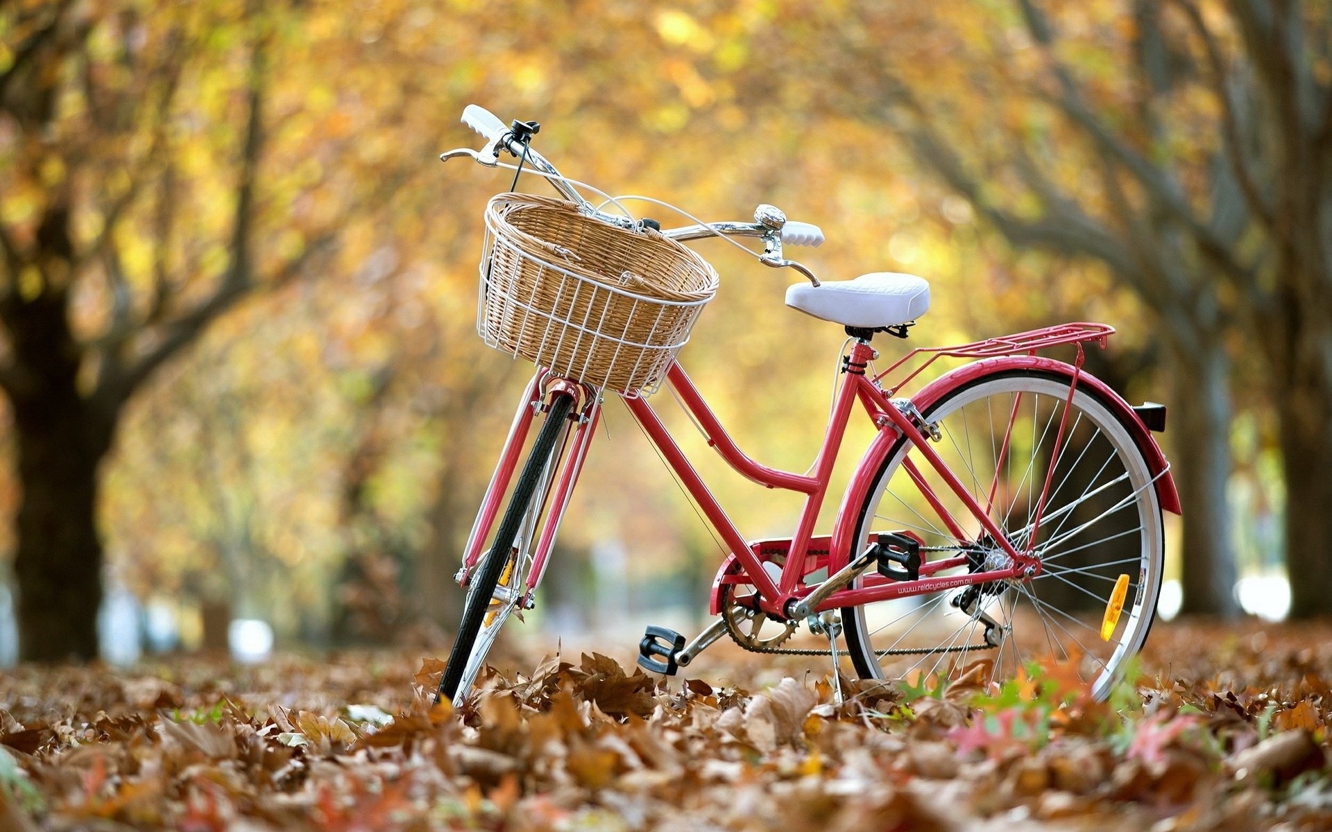 HD bicycle wallpapers, Captivating and stunning imagery, 1920x1200 HD Desktop