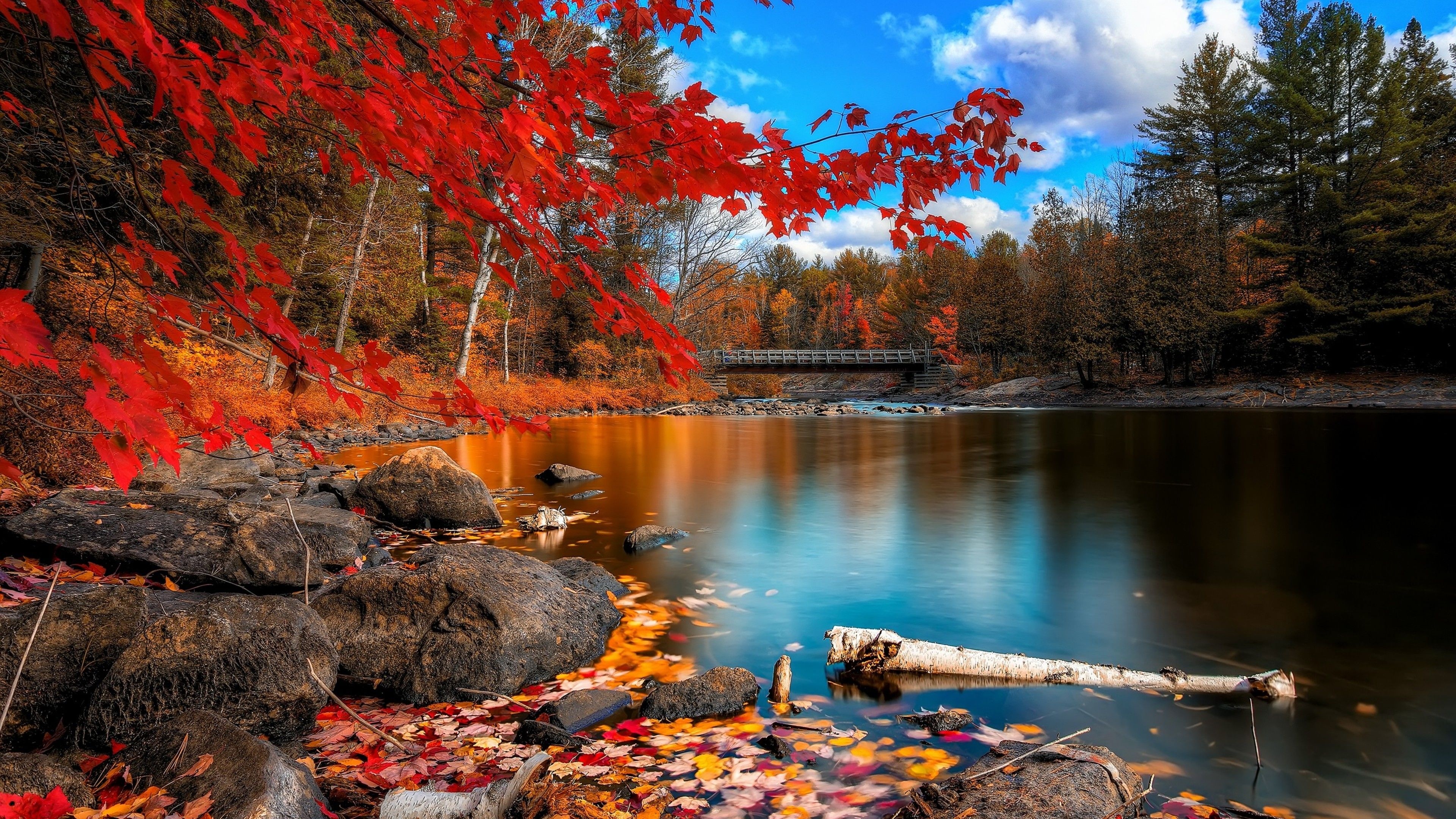 Forrest lake, Herbst Wallpaper, 3840x2160 4K Desktop