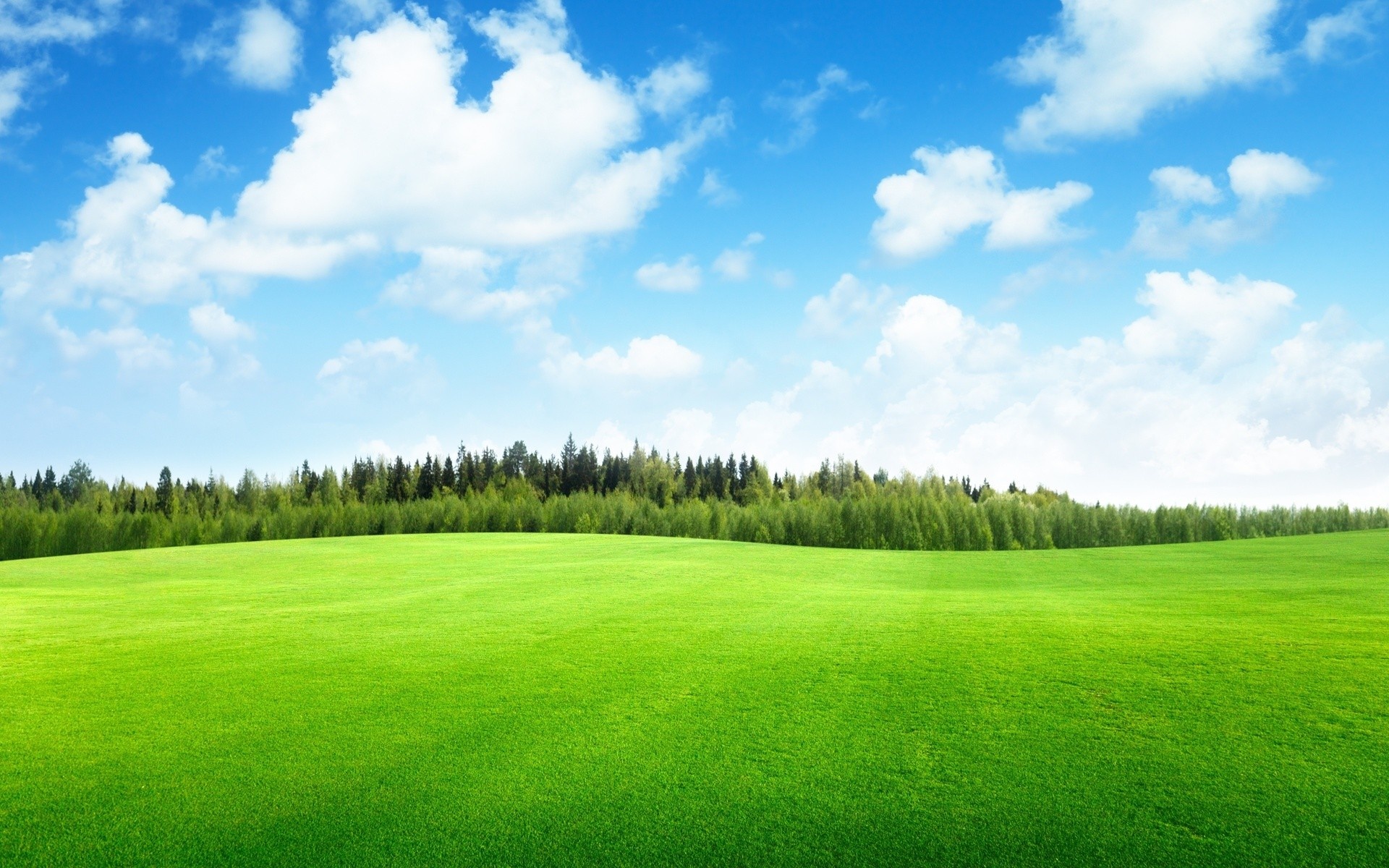 Grass and Sky: Meadowland, Green prairie, Natural environment, Forest, Grassland. 1920x1200 HD Wallpaper.