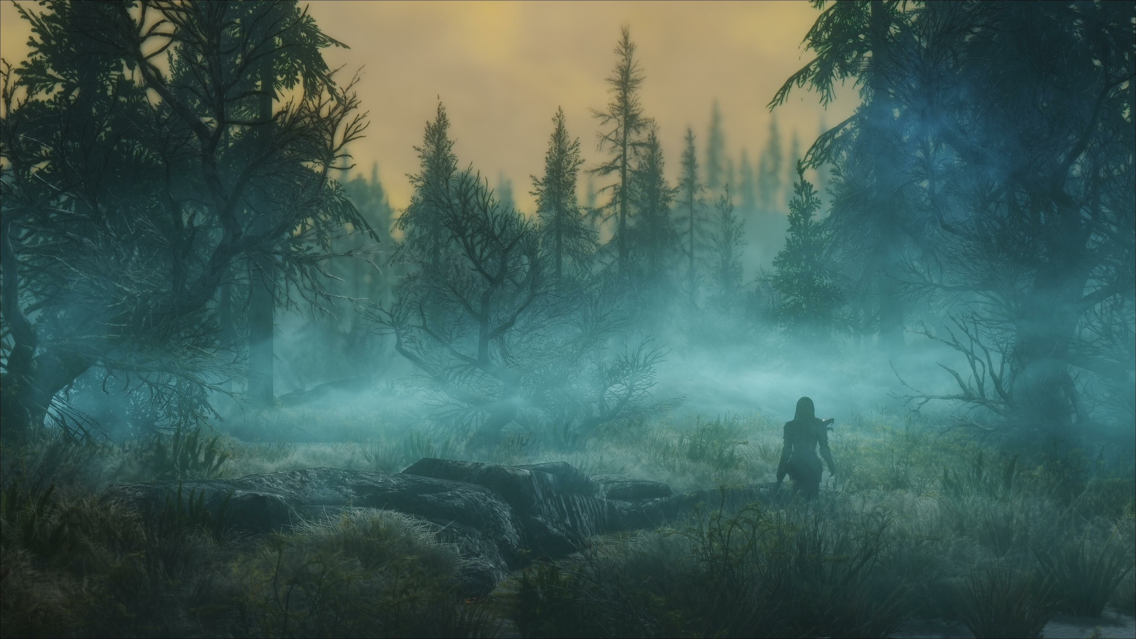 Skyrim: The Elder Scrolls V, An action role-playing video game developed by Bethesda Game Studios. 3840x2160 4K Background.