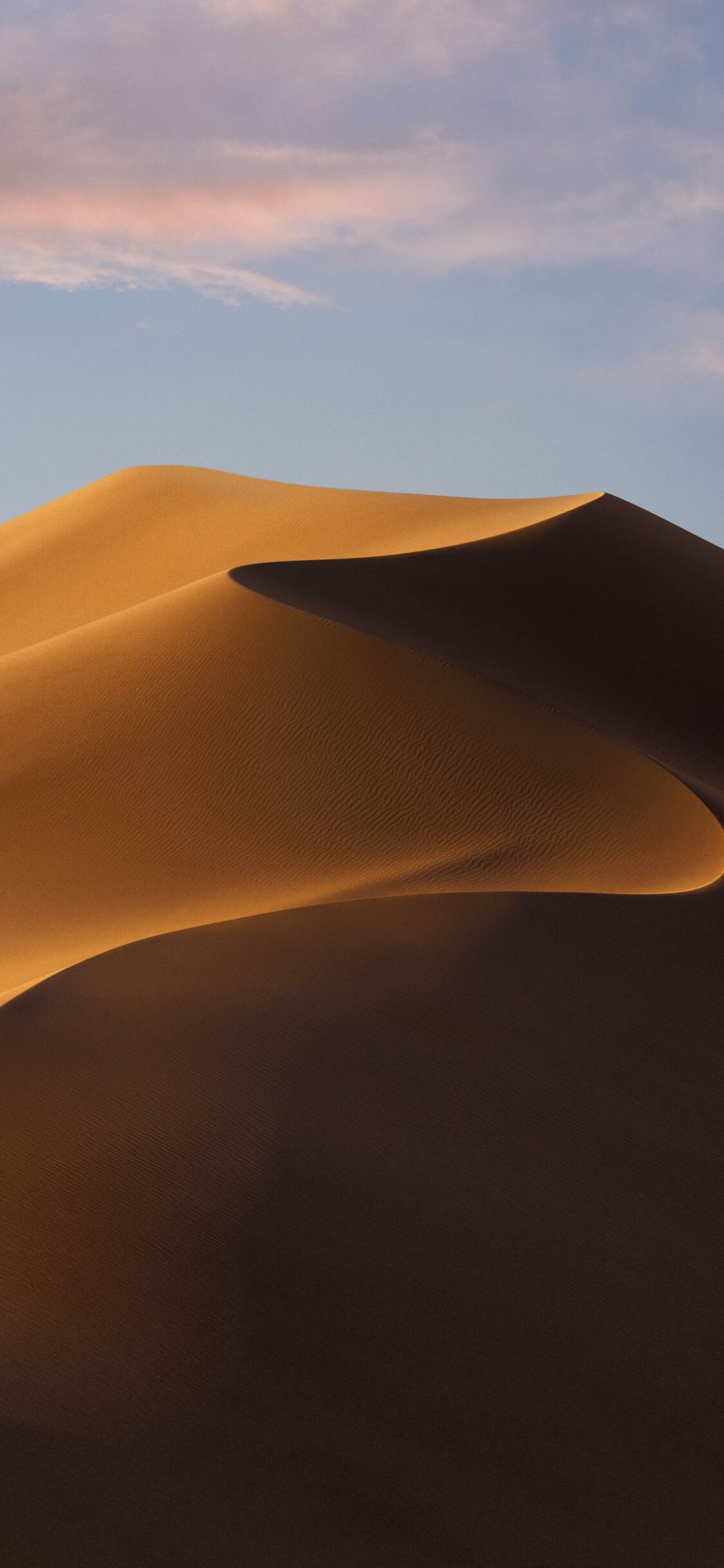 Desert: Mojave, Horizon, Aeolian landforms. 1130x2440 HD Wallpaper.