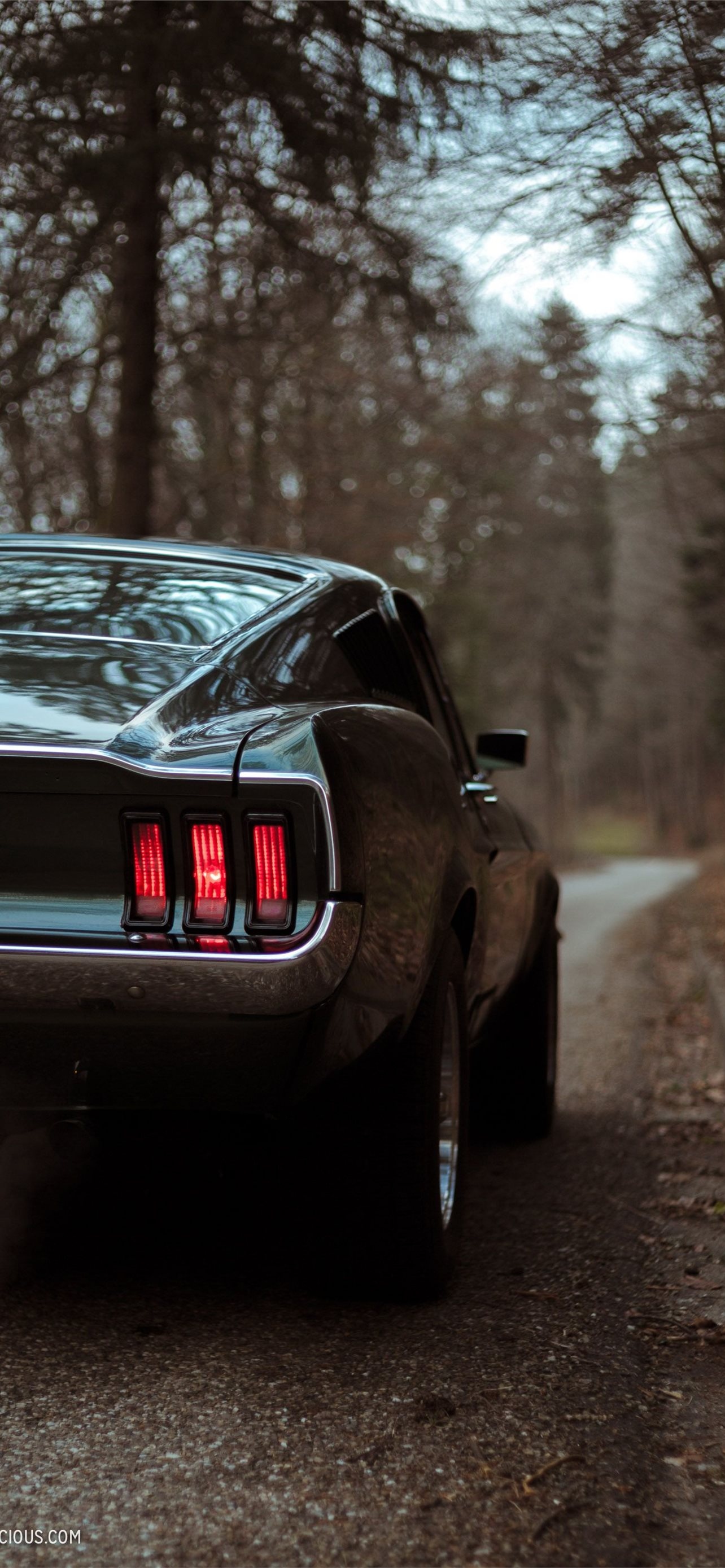 Ford Mustang Boss 429, Rare classic profile, Power under the hood, Muscular stance, Vintage beauty, 1290x2780 HD Phone