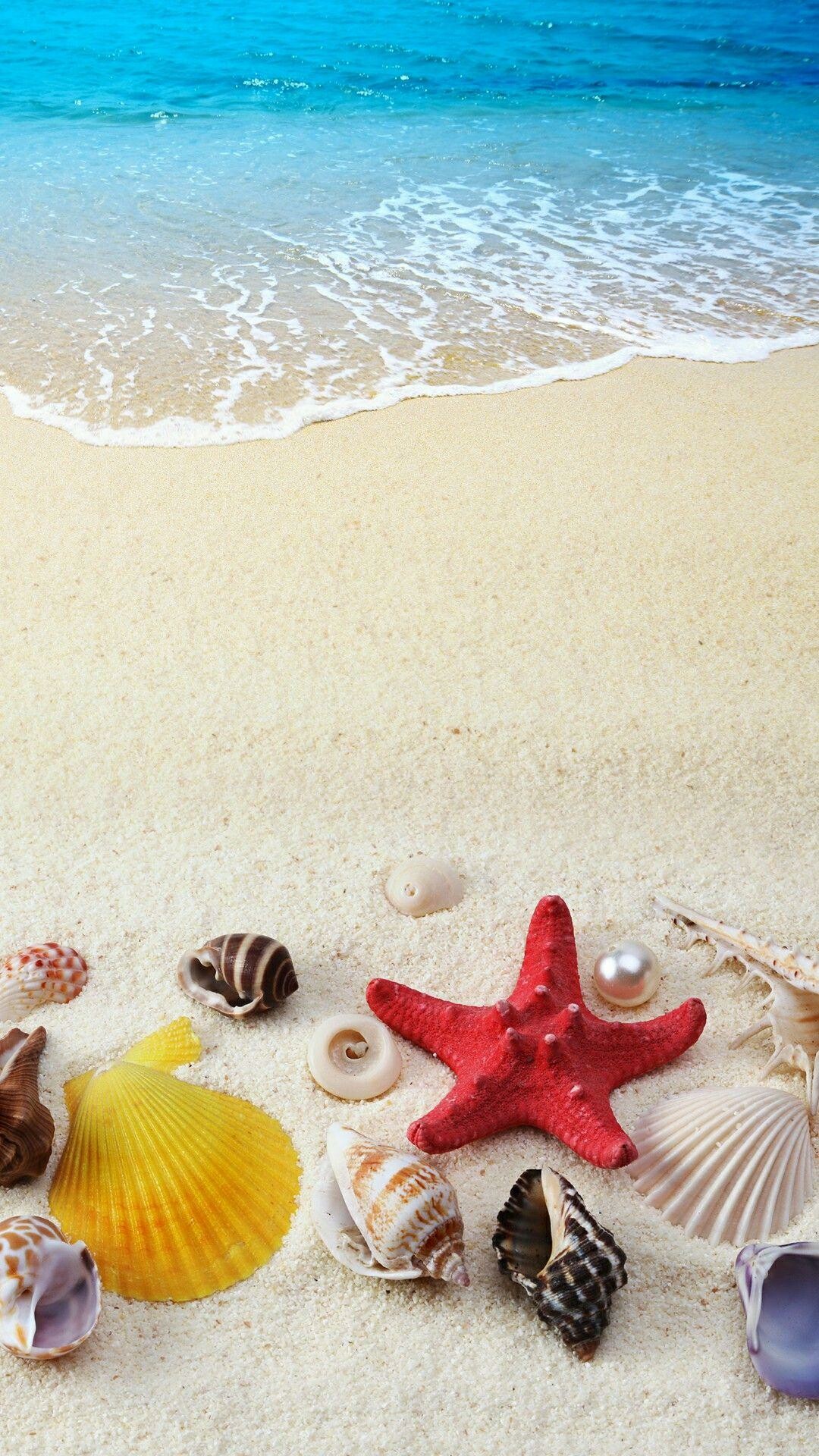Starfish: Hd Cellphone Sea And Shells Wallpapers - Wallpaper Cave. 1080x1920 Full HD Background.
