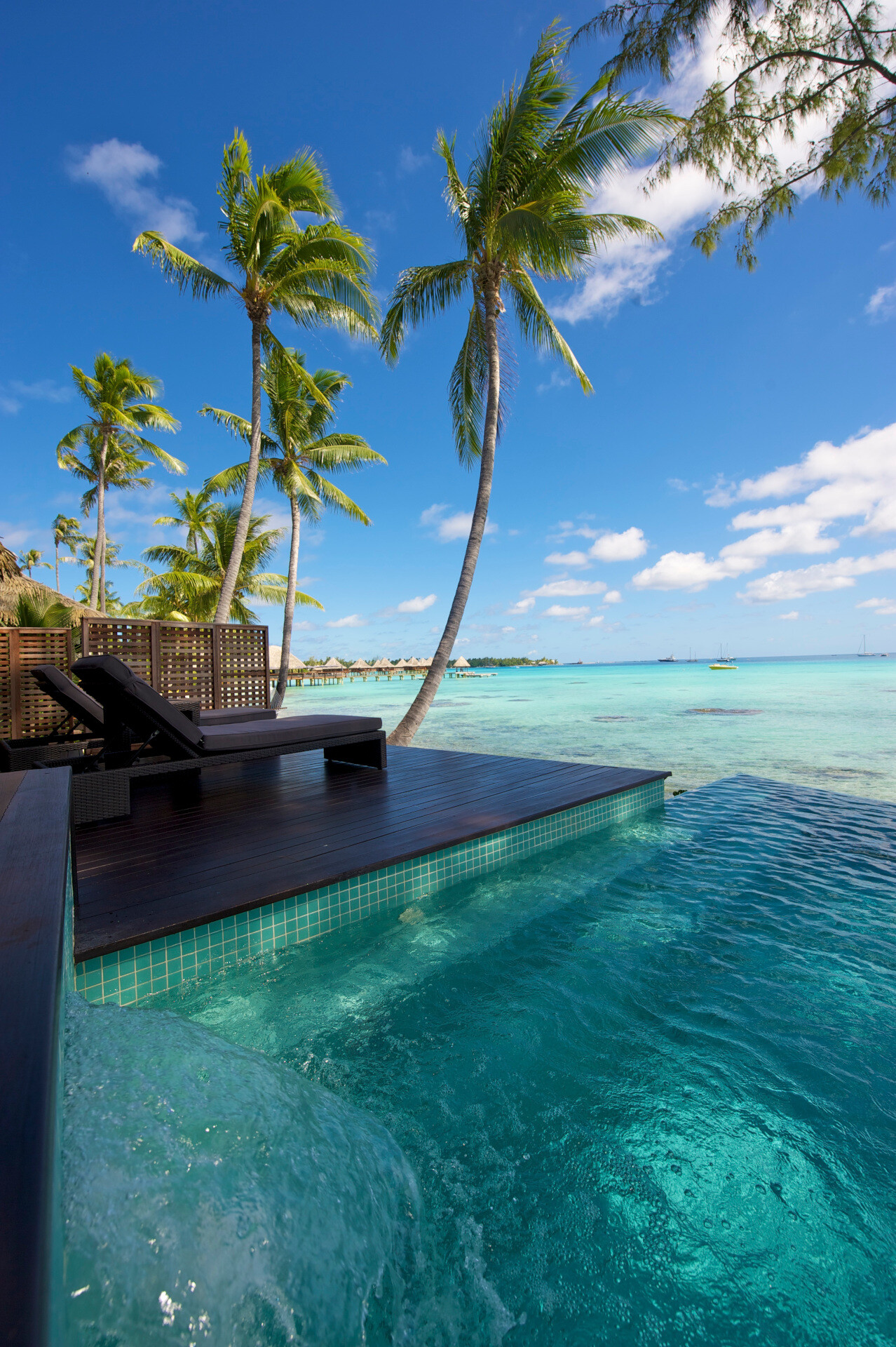 Tahiti: Tropical island paradise, Kia Ora Resort, Rangiroa, French Polynesia. 1280x1920 HD Wallpaper.