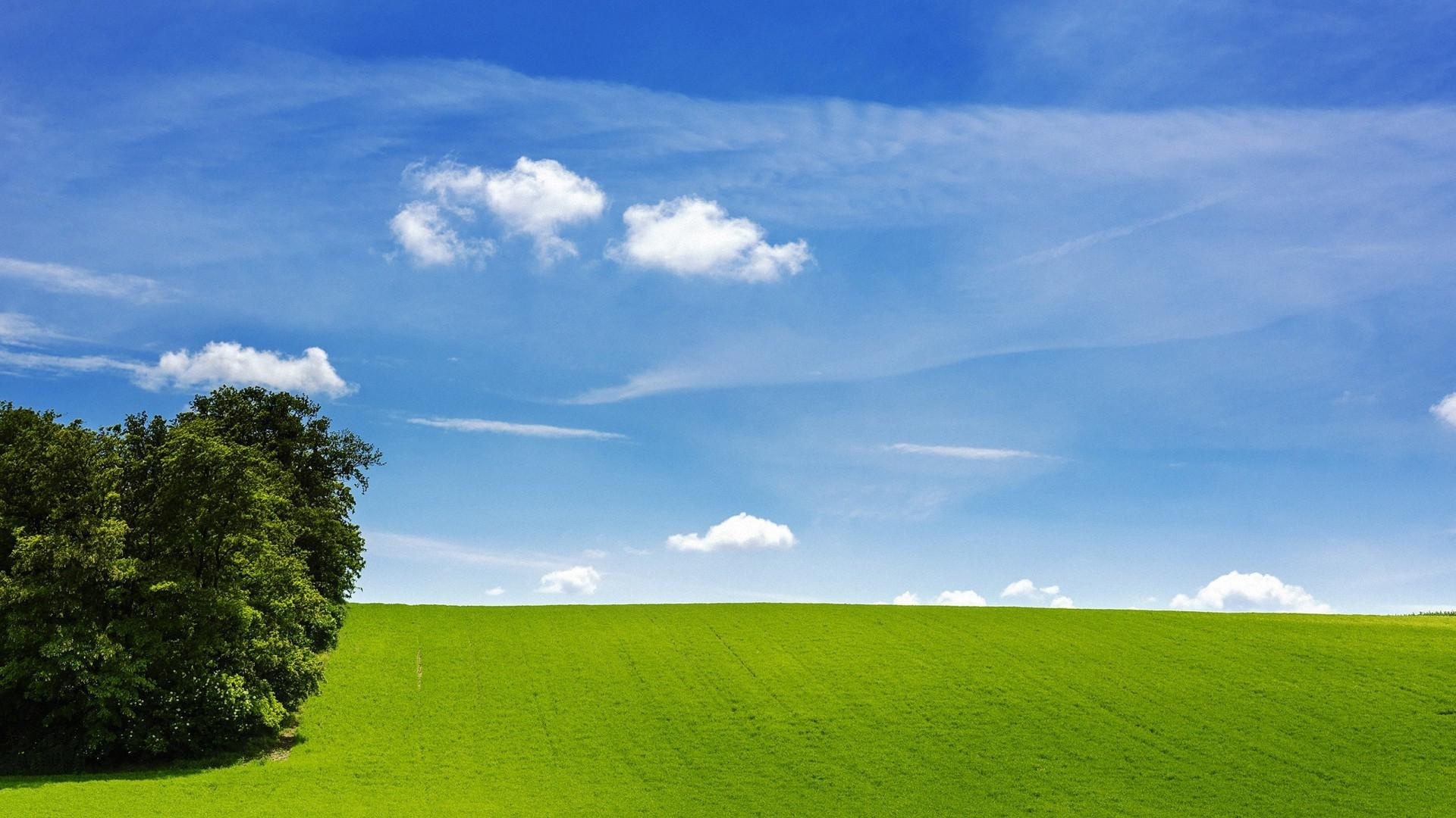 Grass and Sky: Landscape, Pasture, Grazing, Outlying area, Non-metropolitan area. 1920x1080 Full HD Background.
