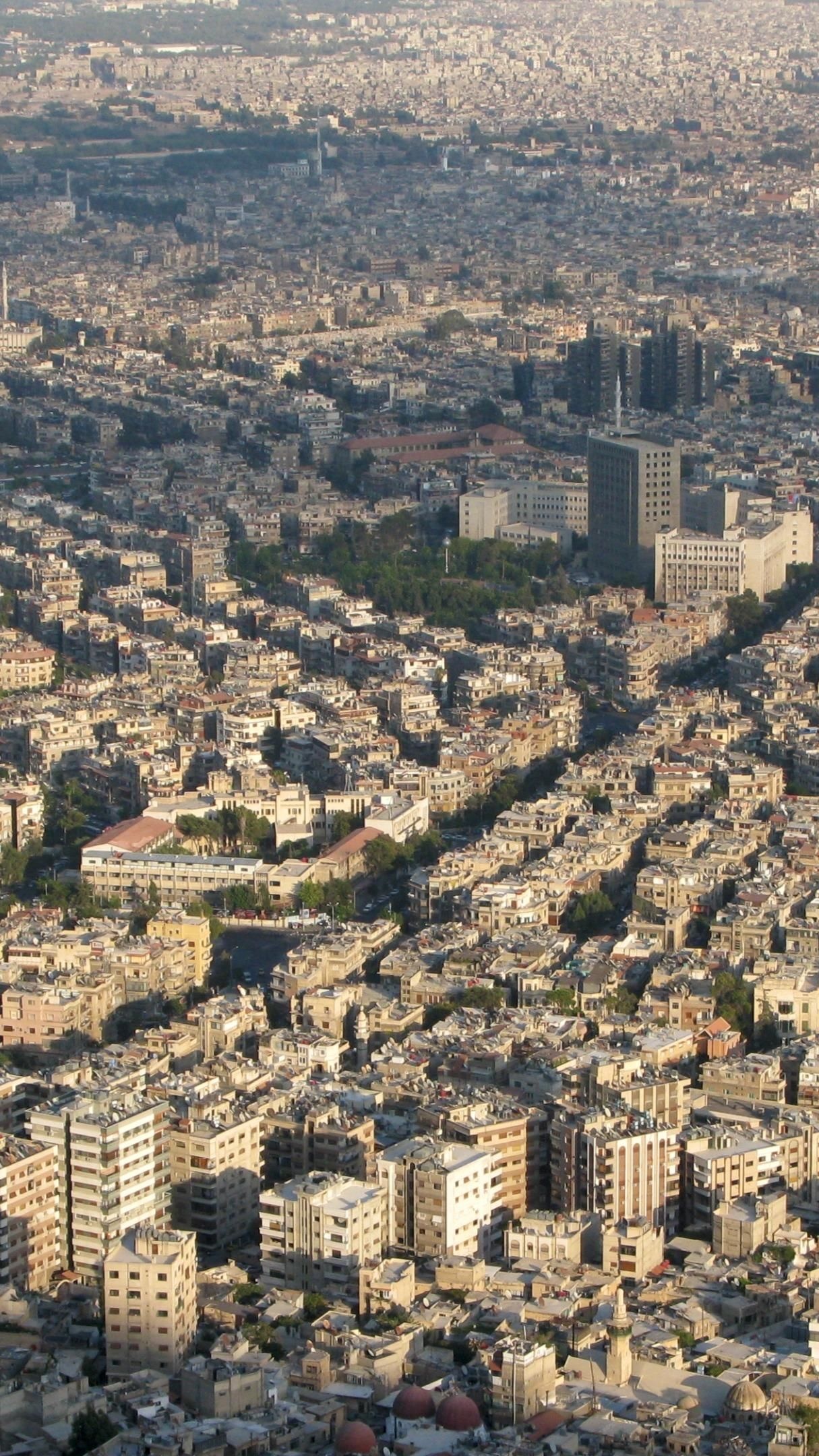 Damascus, Citadel, Ancient city, Palestinians, 1220x2160 HD Phone