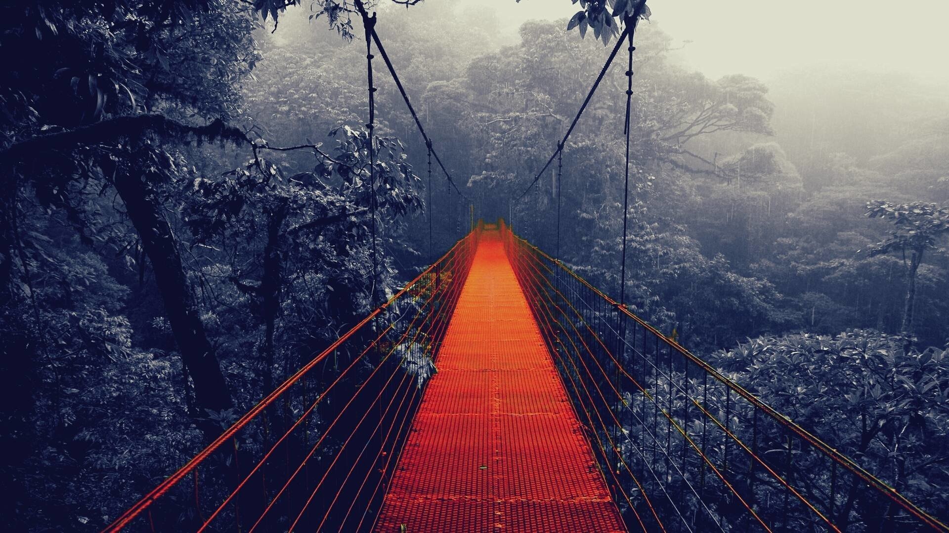 Bridge: Monochrome red-and-black suspension span in the forest. 1920x1080 Full HD Background.
