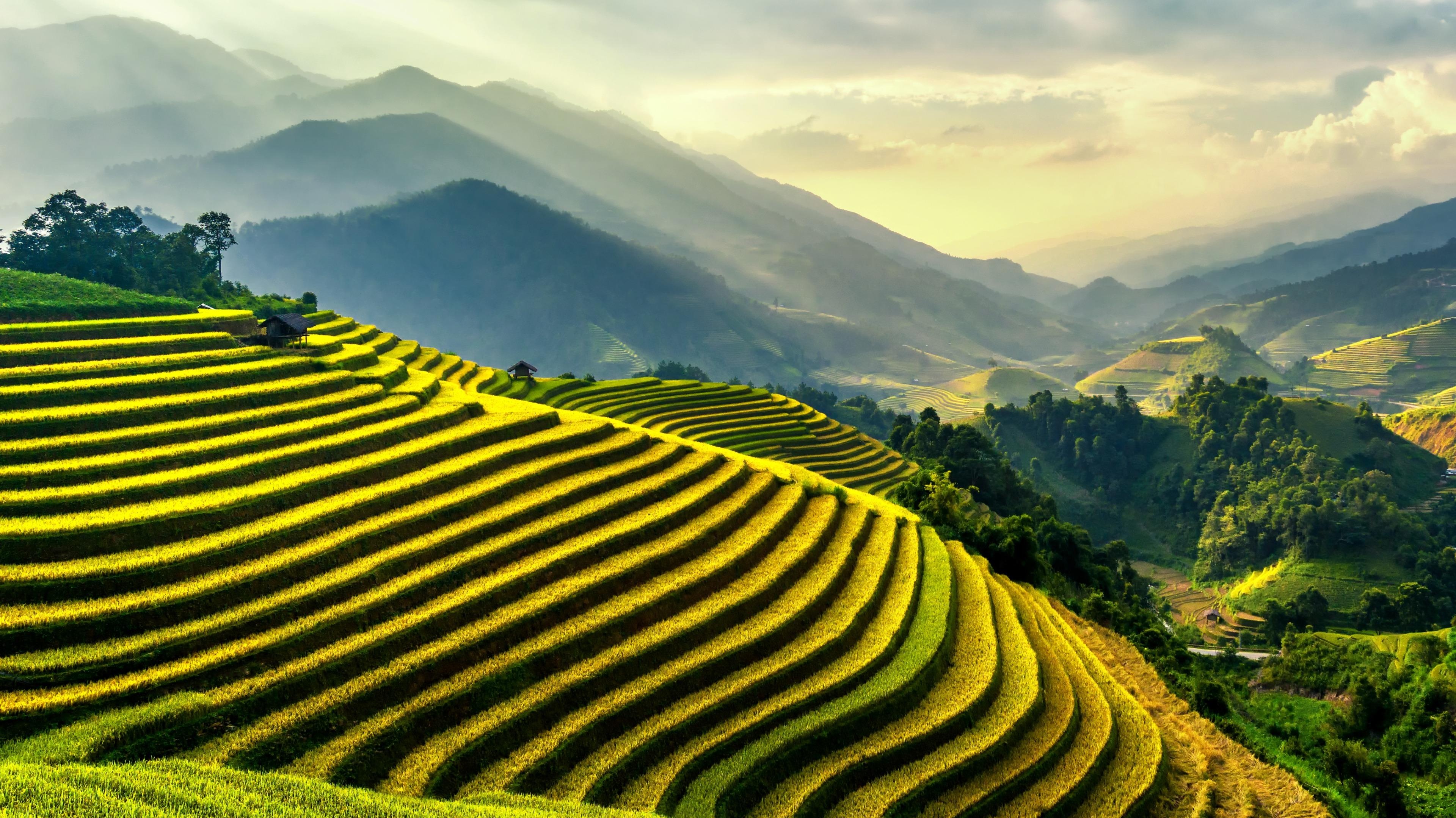 Rice terraces, HD wallpapers, Breathtaking backgrounds, Picture-perfect beauty, 3840x2160 4K Desktop