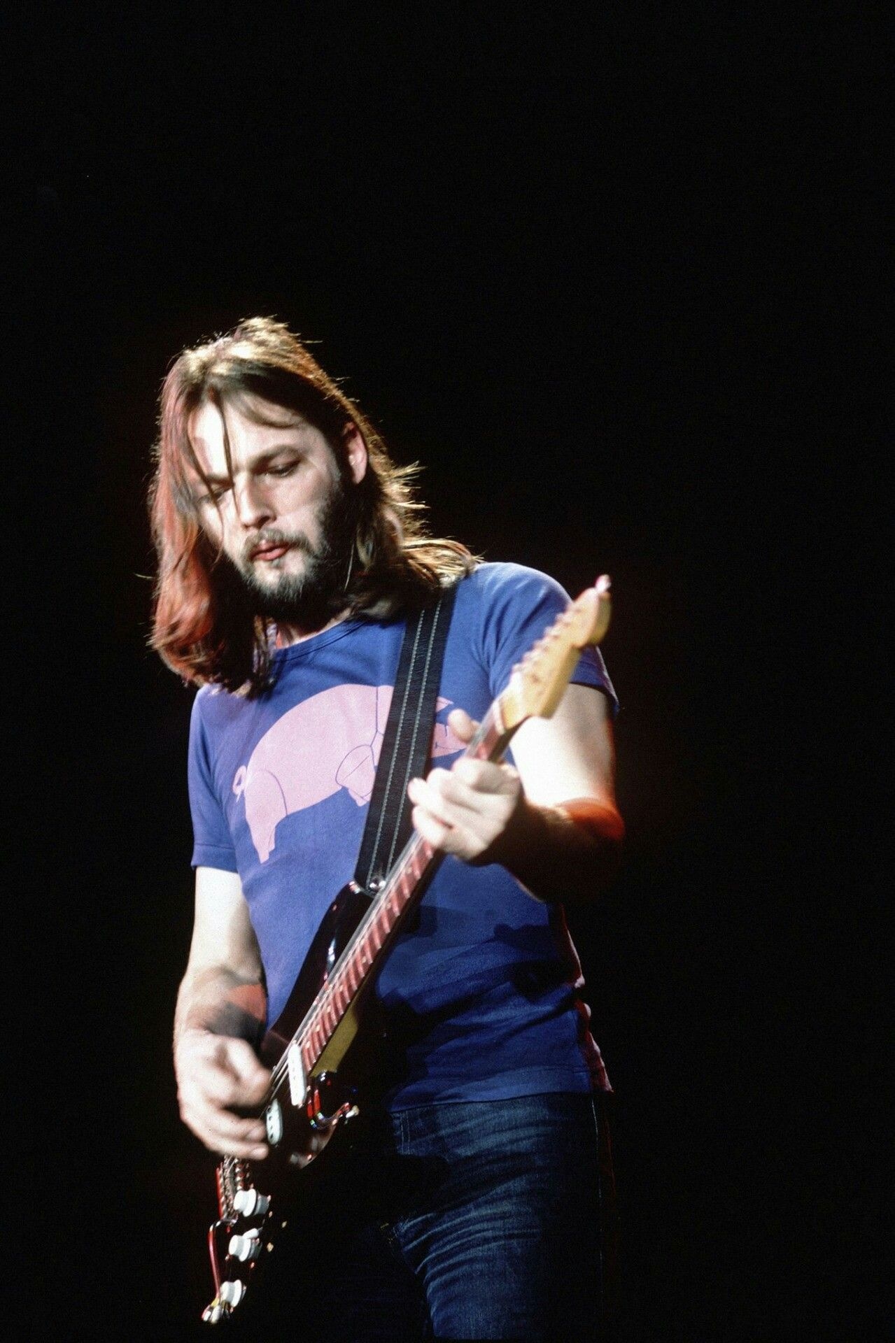 David Gilmour, Legendary musician, Pink Floyd essence, Iconic rock band, 1280x1920 HD Handy