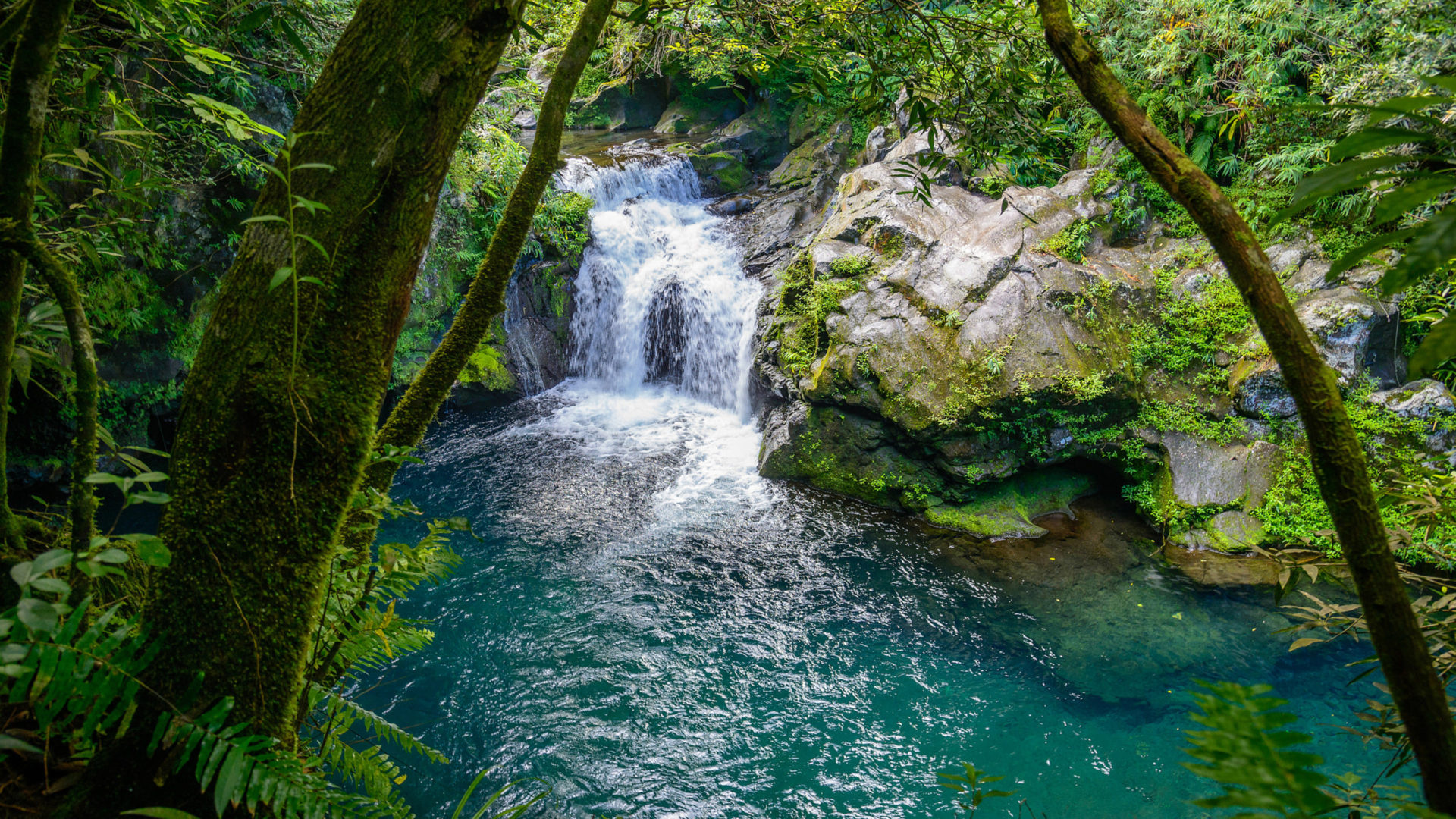 Reunion Island, Langevin river, Waterfall beauty, Tropical paradise, 1920x1080 Full HD Desktop