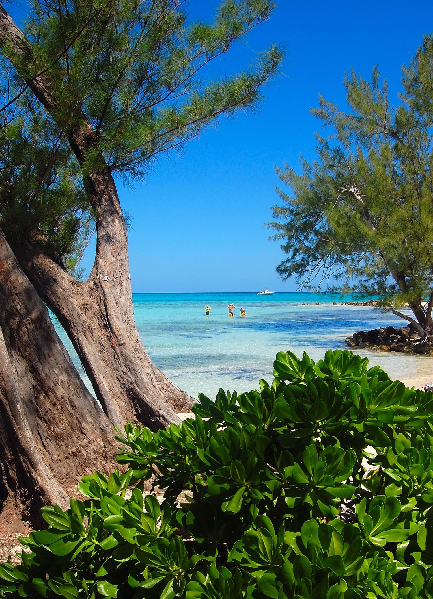 Cayman Islands, Travels, Cayman islands HD wallpapers, 4K HD, 1500x2080 HD Handy