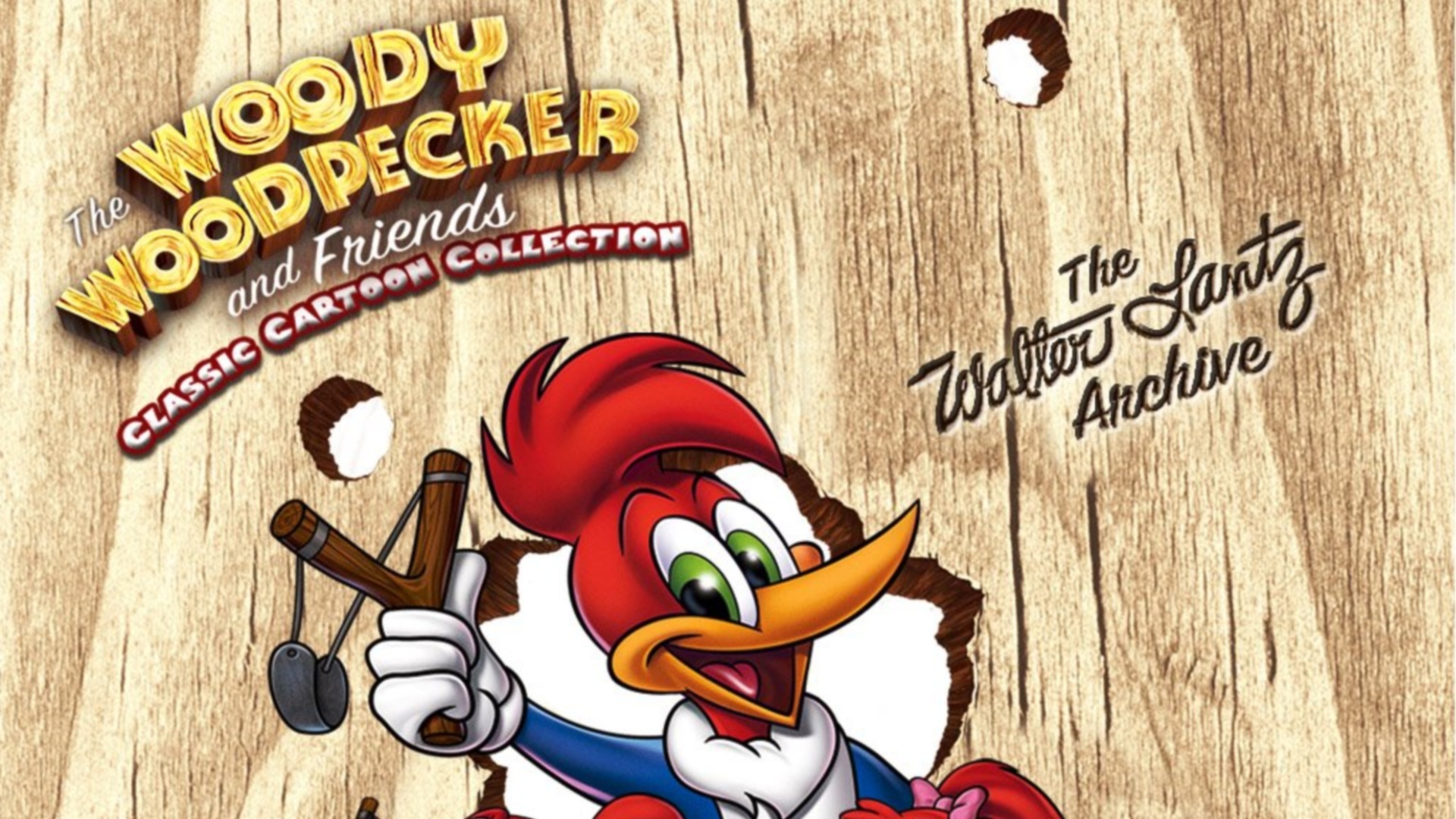 Woody Woodpecker, TV show, Animated character, Funny cartoon, 1920x1080 Full HD Desktop