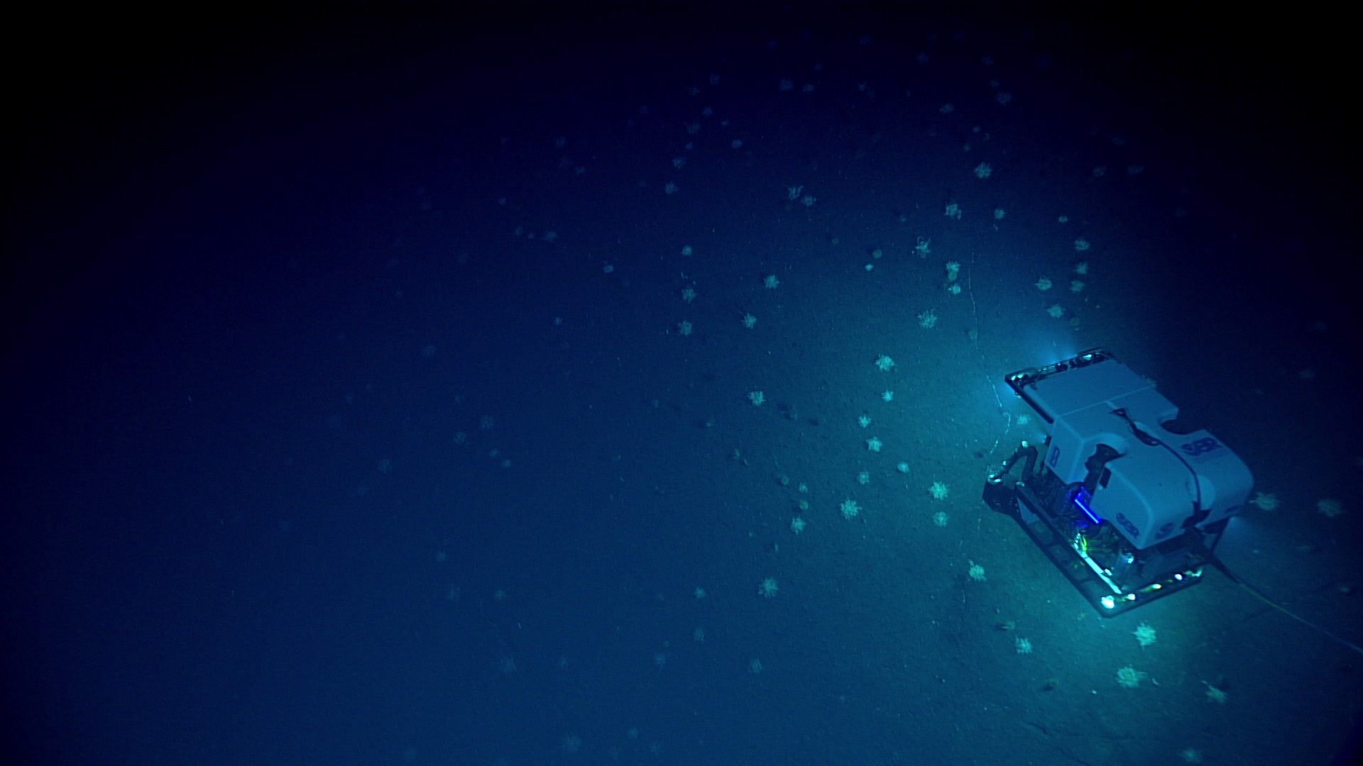 Mariana Trench, Deep dive, Oceanic mystery, Travel, 1920x1080 Full HD Desktop