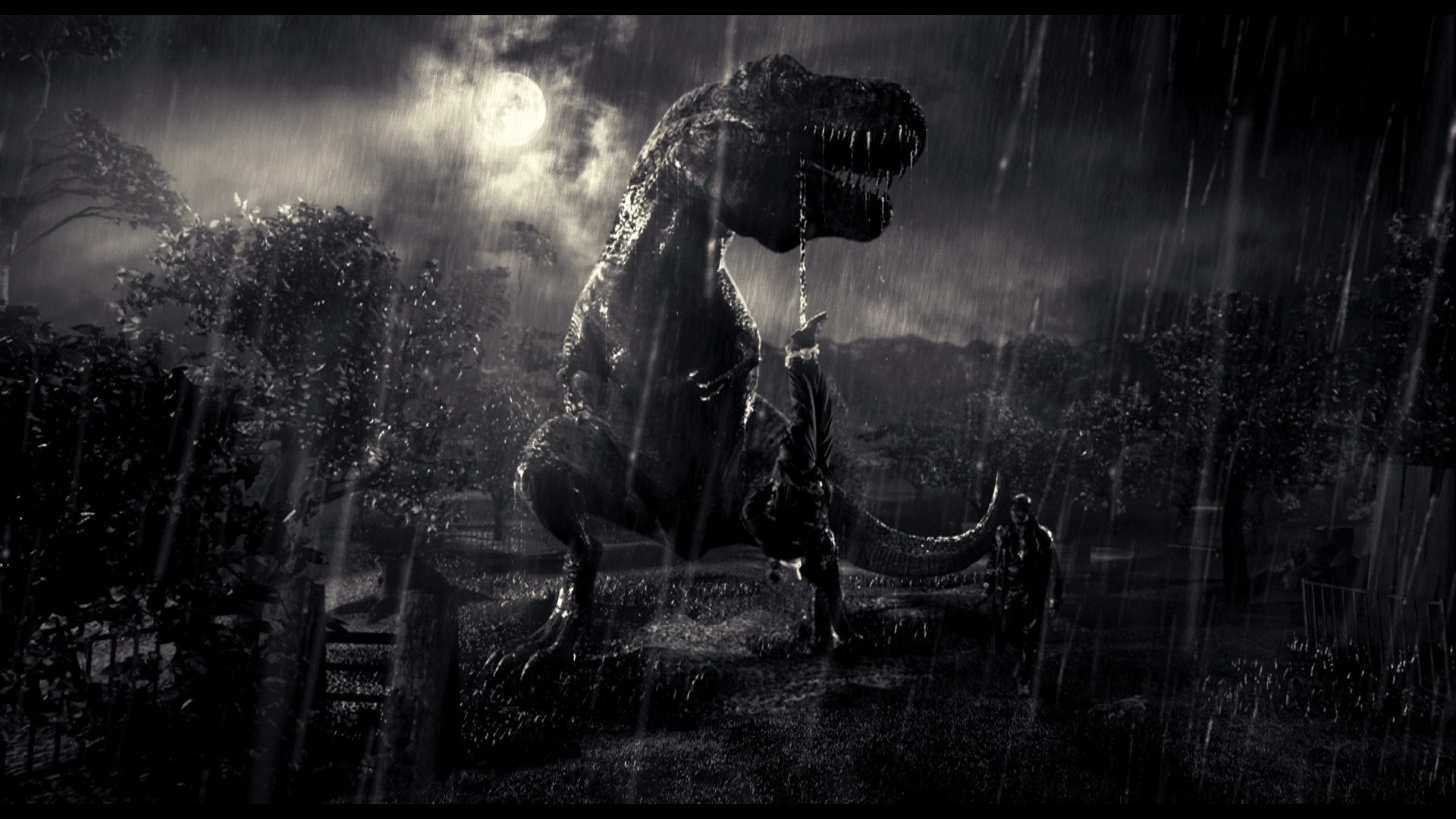 Dinosaur wallpaper, Tyrannosaurus Rex image, Free download, Reptile fascination, 1920x1080 Full HD Desktop
