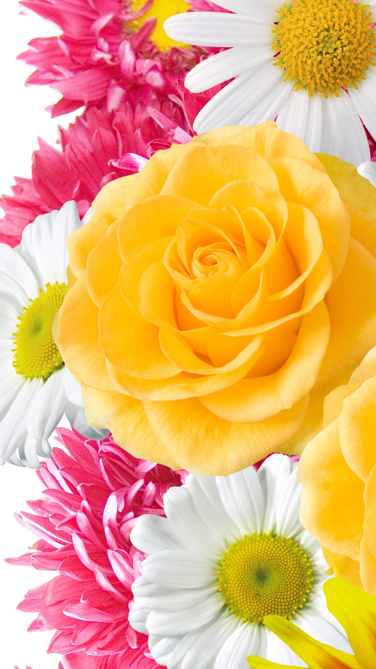 Flower Bouquet: A group of flowers that have been fastened together and attractively arranged so that they can be given as a present or carried on formal occasions. 1440x2560 HD Wallpaper.