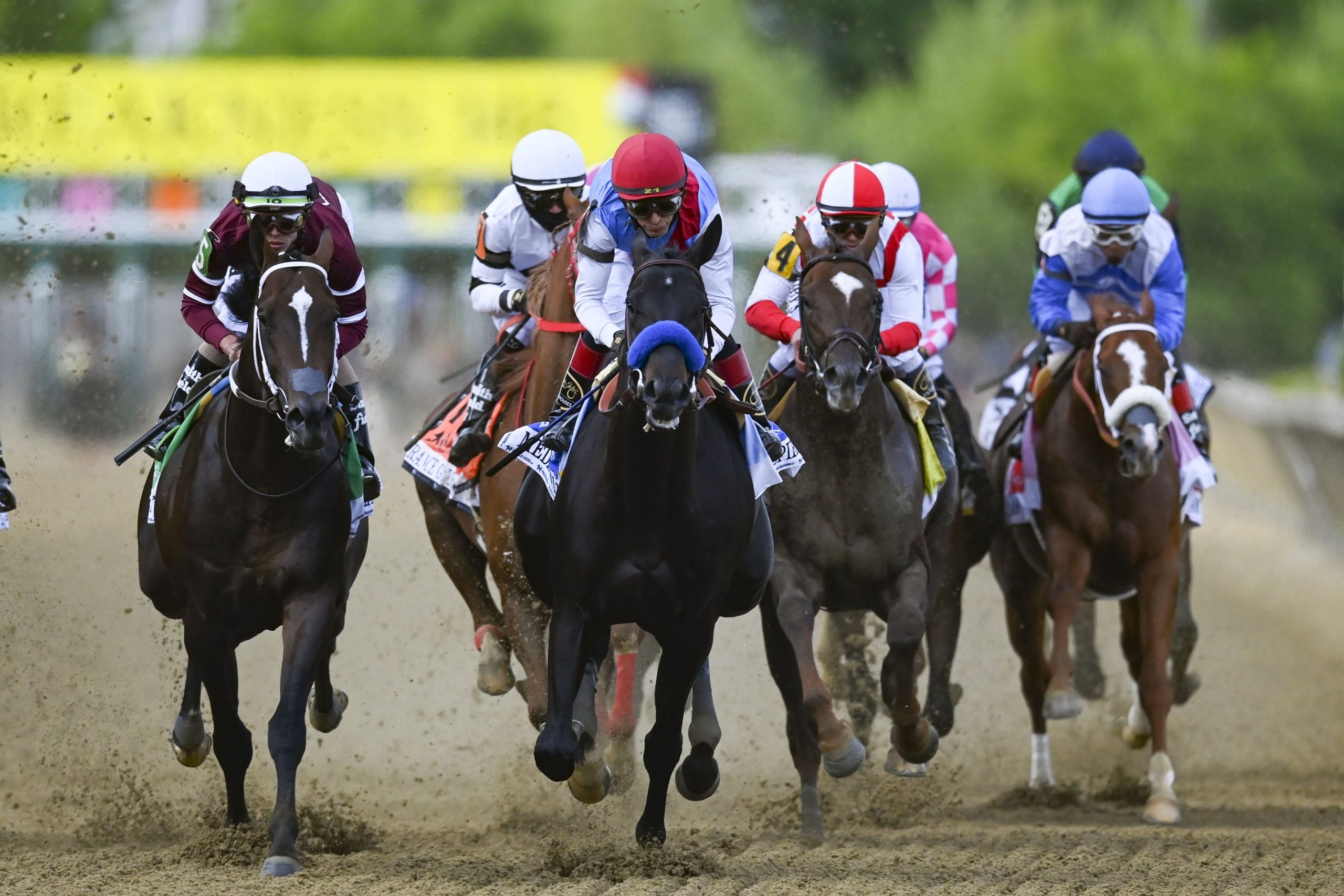 Horse Racing, Preakness Stakes runner-by-runner guide, Betting tips, Best bet, 2560x1710 HD Desktop