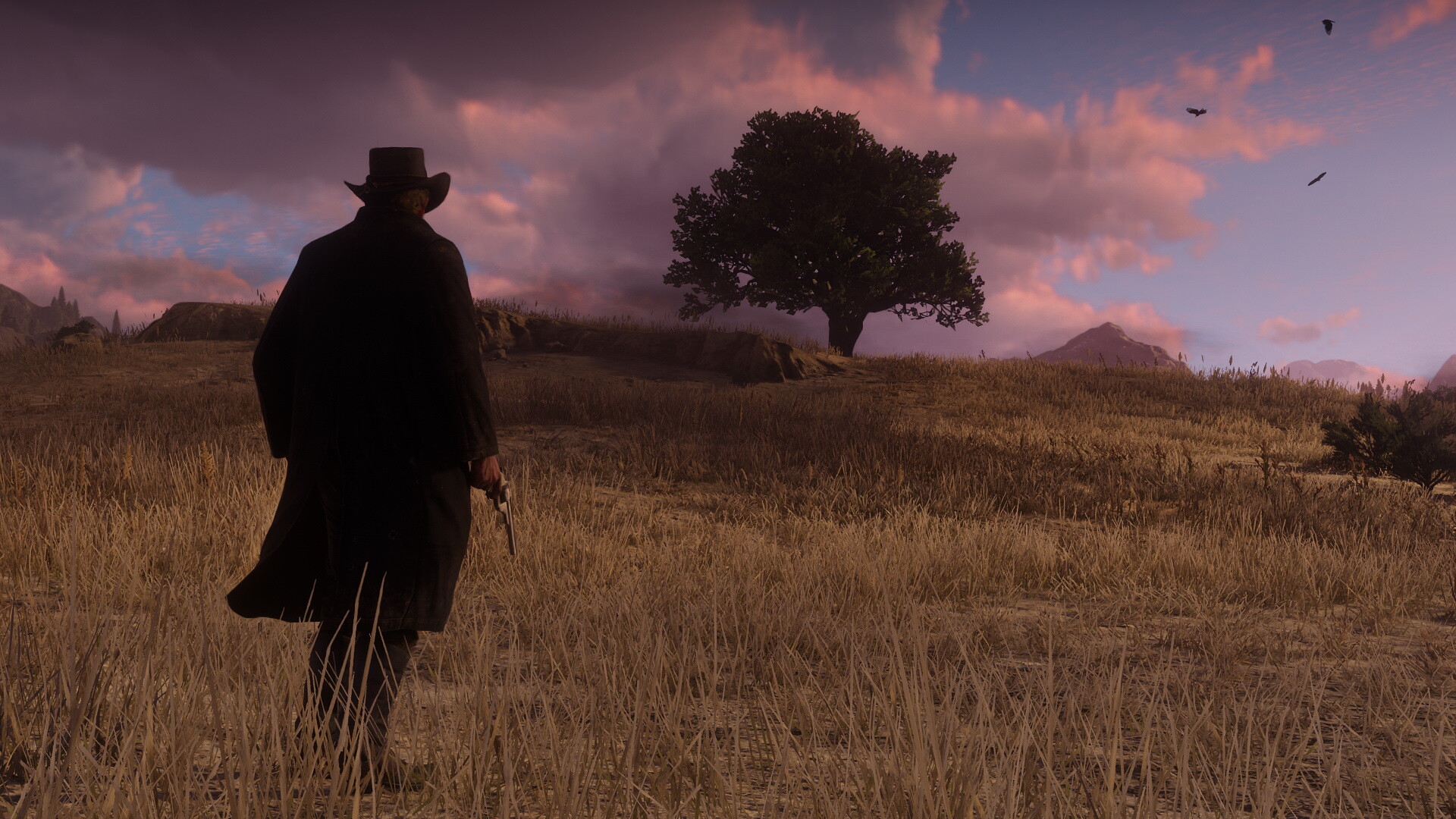 Red Dead Redemption: The third entry in the western-themed action-adventure games series. 1920x1080 Full HD Wallpaper.