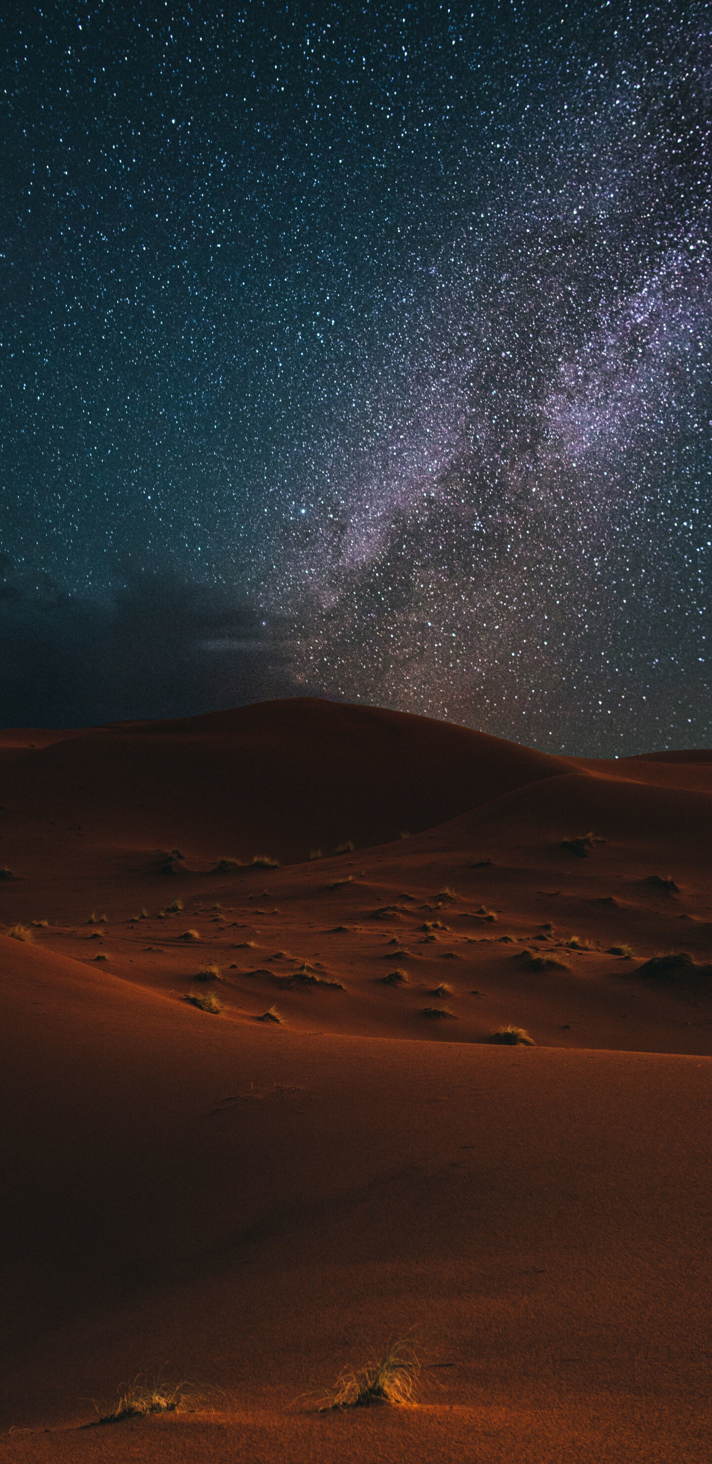Desert: Nighttime, Milky way, Starry sky, Sand. 1440x2960 HD Background.