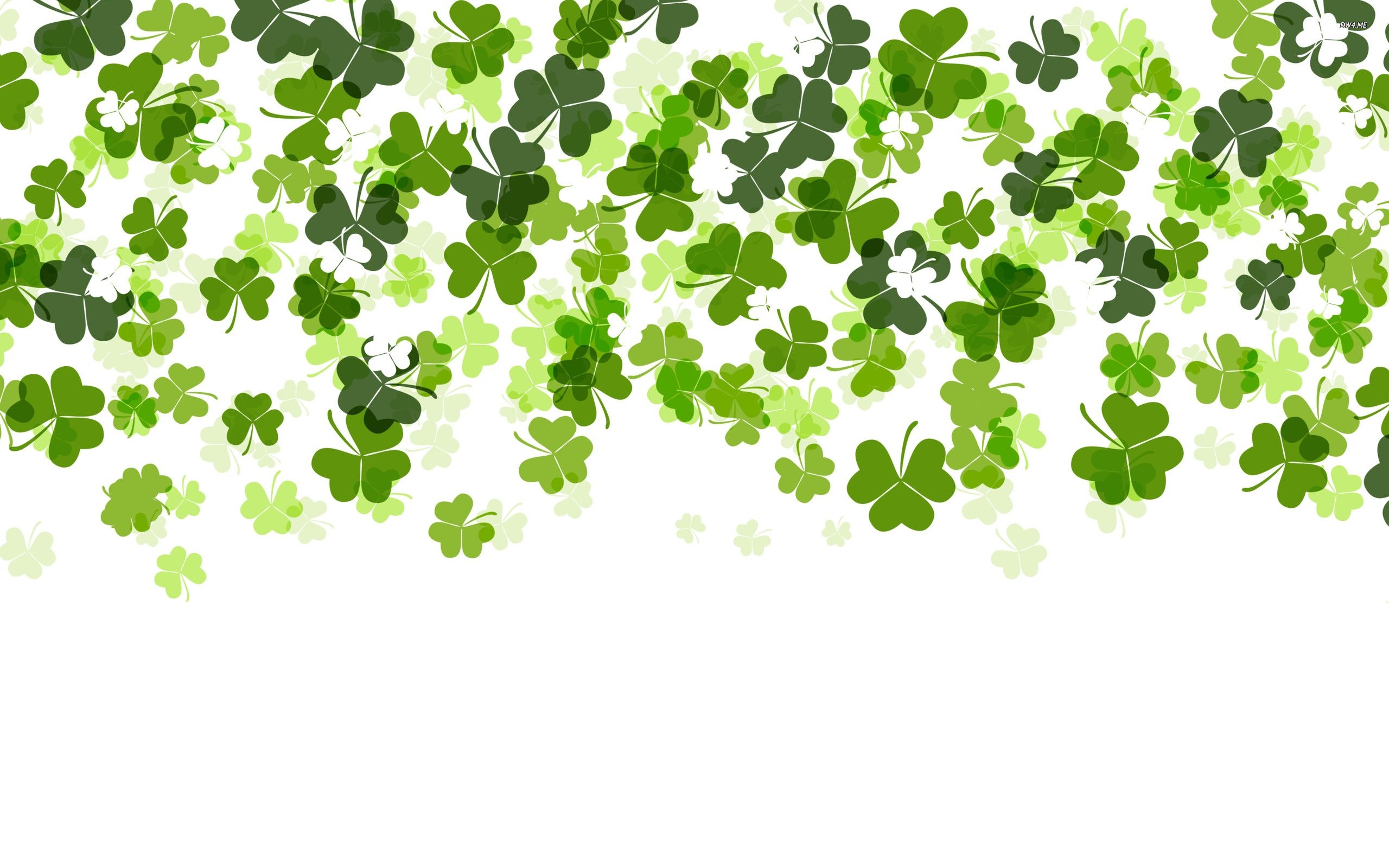 Irish Shamrock, Lucky shamrocks, Green wallpapers, Irish heritage, 2560x1600 HD Desktop