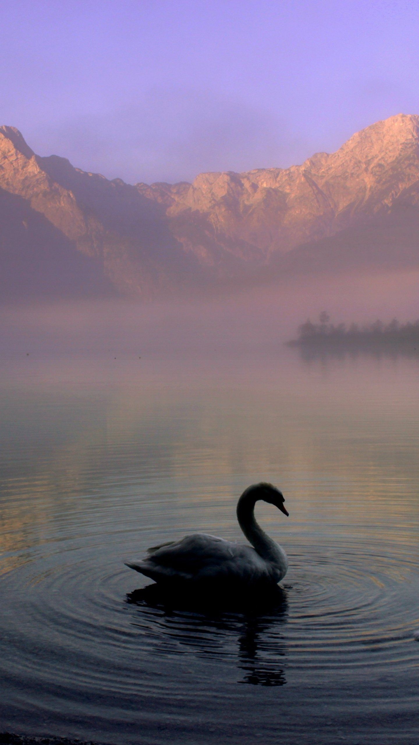 Swan mountain lake, Iphone android desktop, Desktop backgrounds swan, Swan lake iphone, 1440x2560 HD Phone