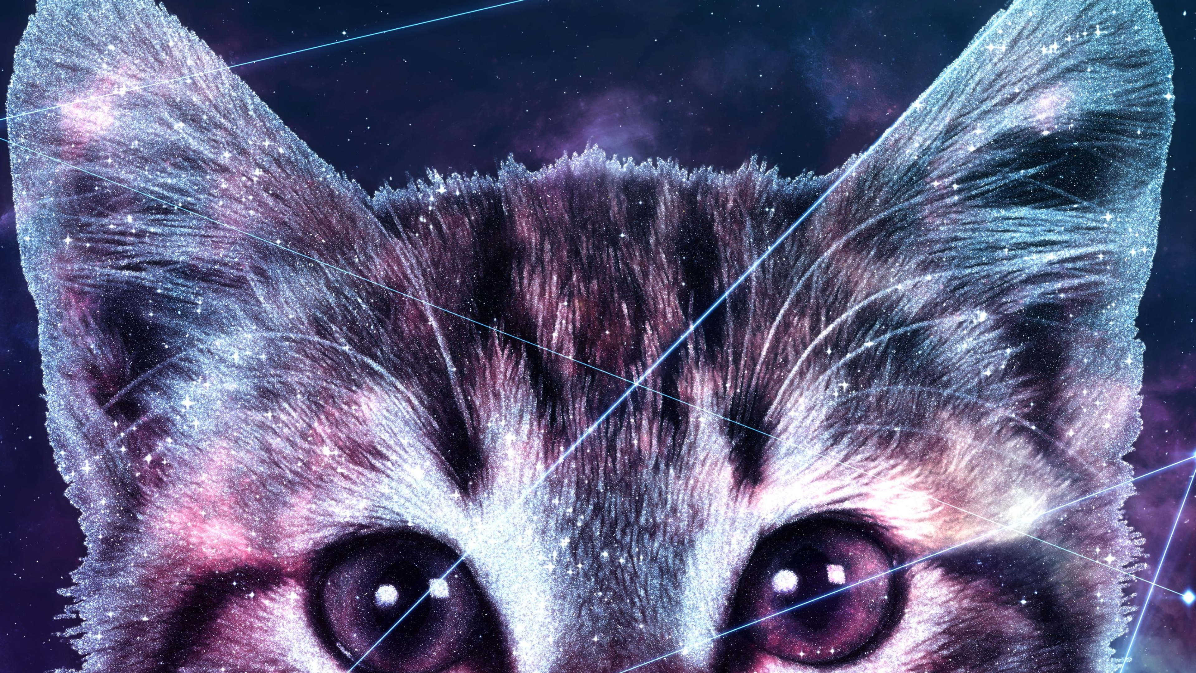Galaxy Cat, Whiskered explorer, Stellar journey, Cosmic curiosity, 3840x2160 4K Desktop