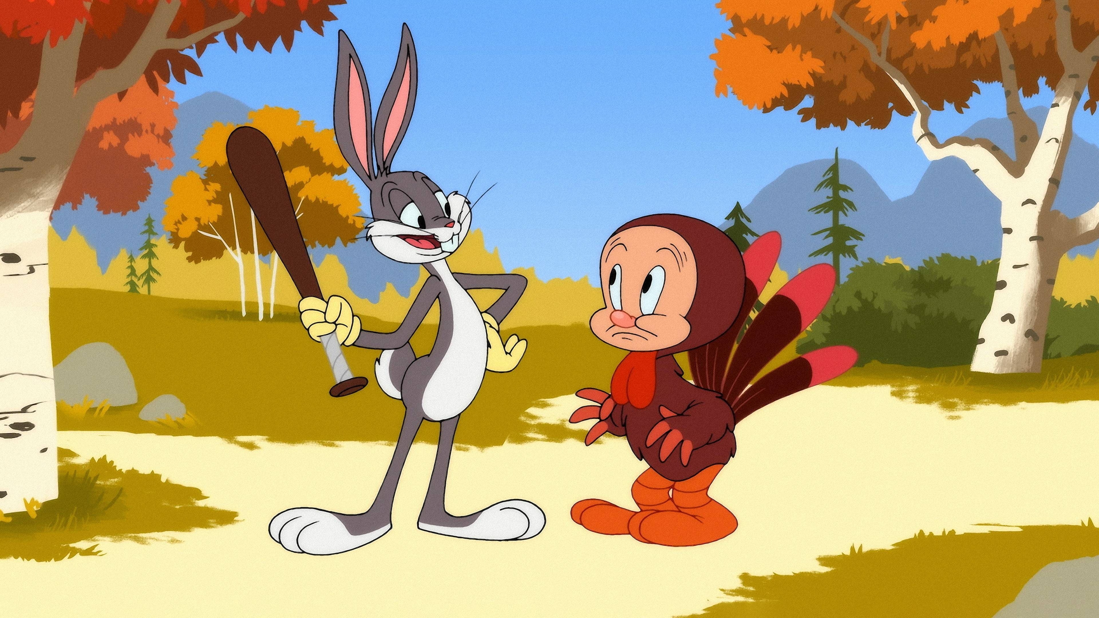 Looney Tunes, Cartoons, Season 4, Episode 14, 3840x2160 4K Desktop