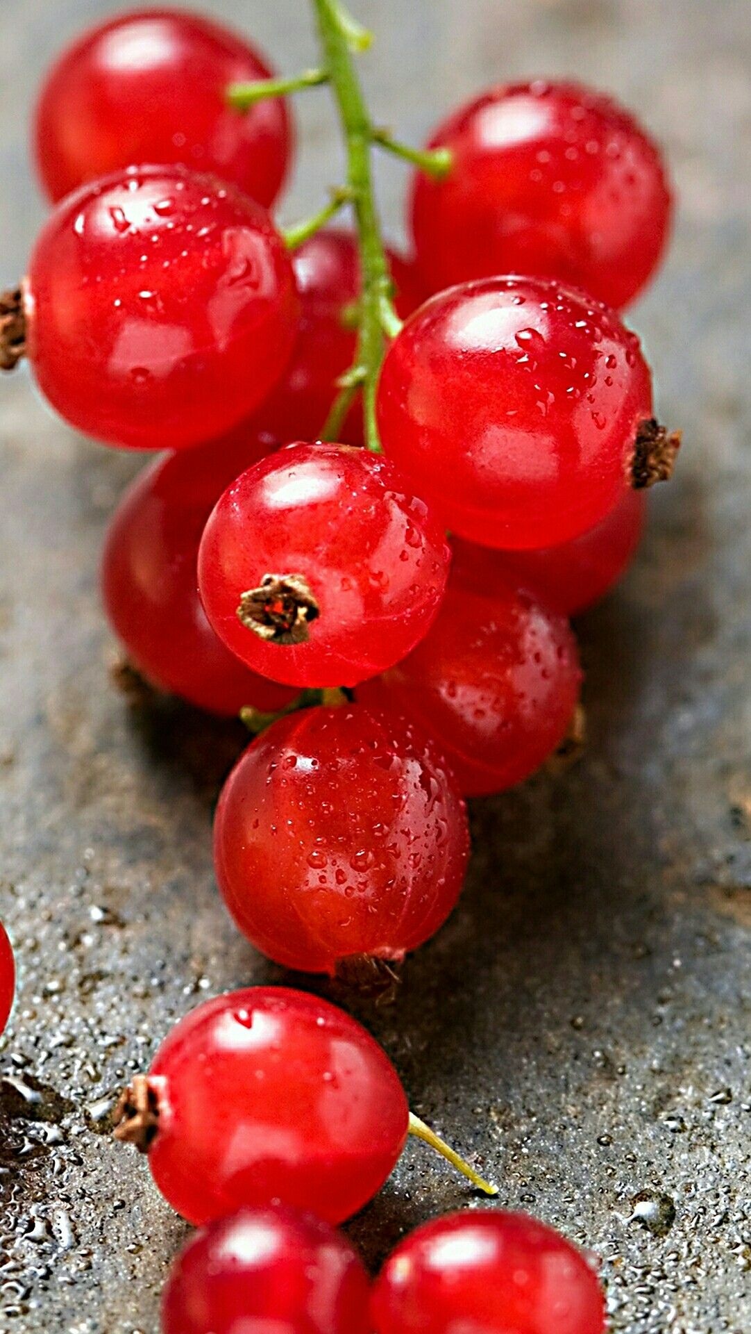 Fruit photography, Red grapes, Fruit art, 1090x1920 HD Phone