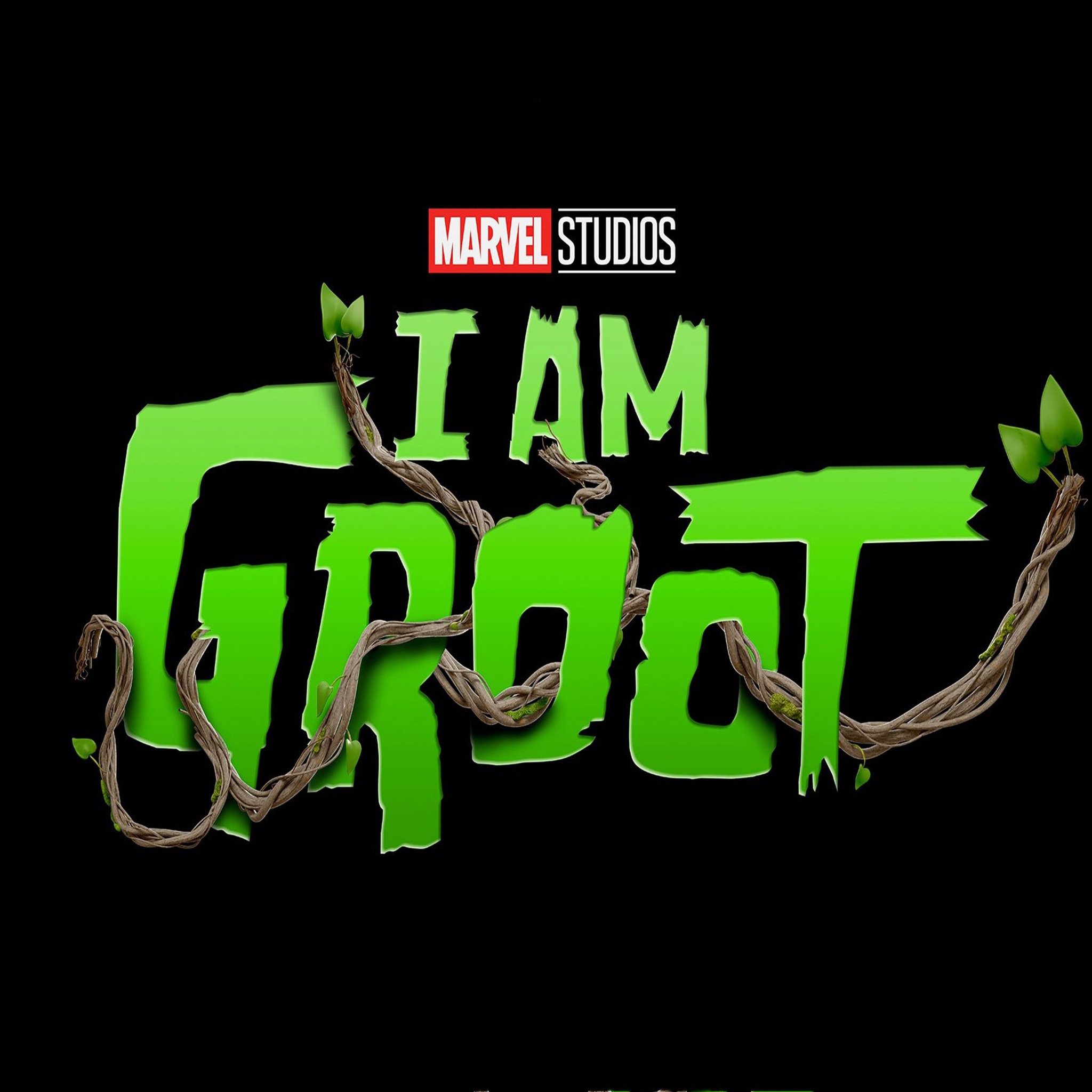 I Am Groot, iPad Air, HD 4K wallpapers, Animation, 2050x2050 HD Phone