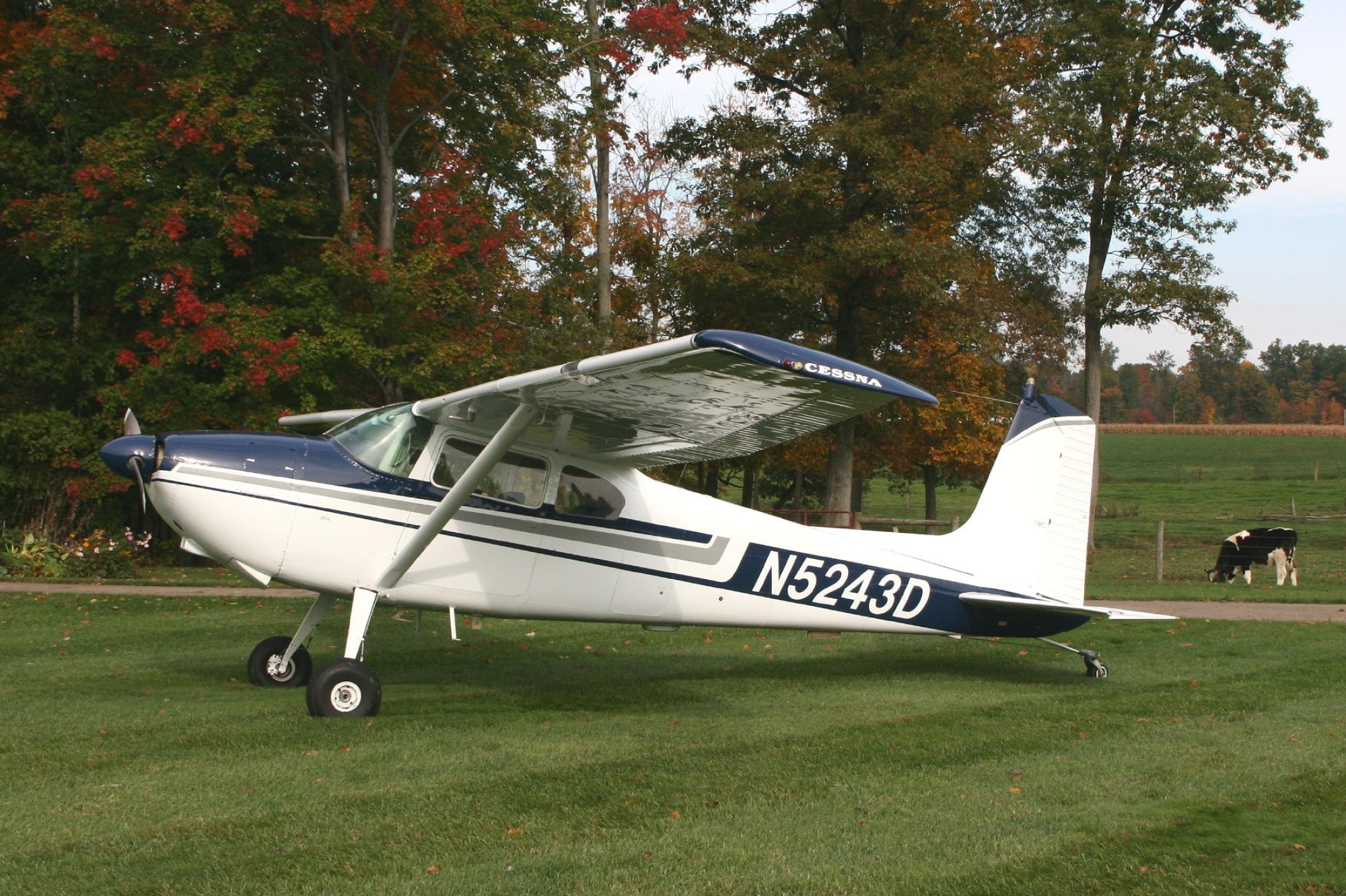 Cessna 180, Photo gallery, 10minas blog, Aircraft, 2000x1340 HD Desktop