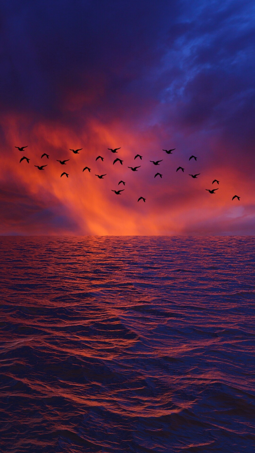 Bird: A flock, A gathering of individual birds to forage or travel collectively. 1080x1920 Full HD Wallpaper.