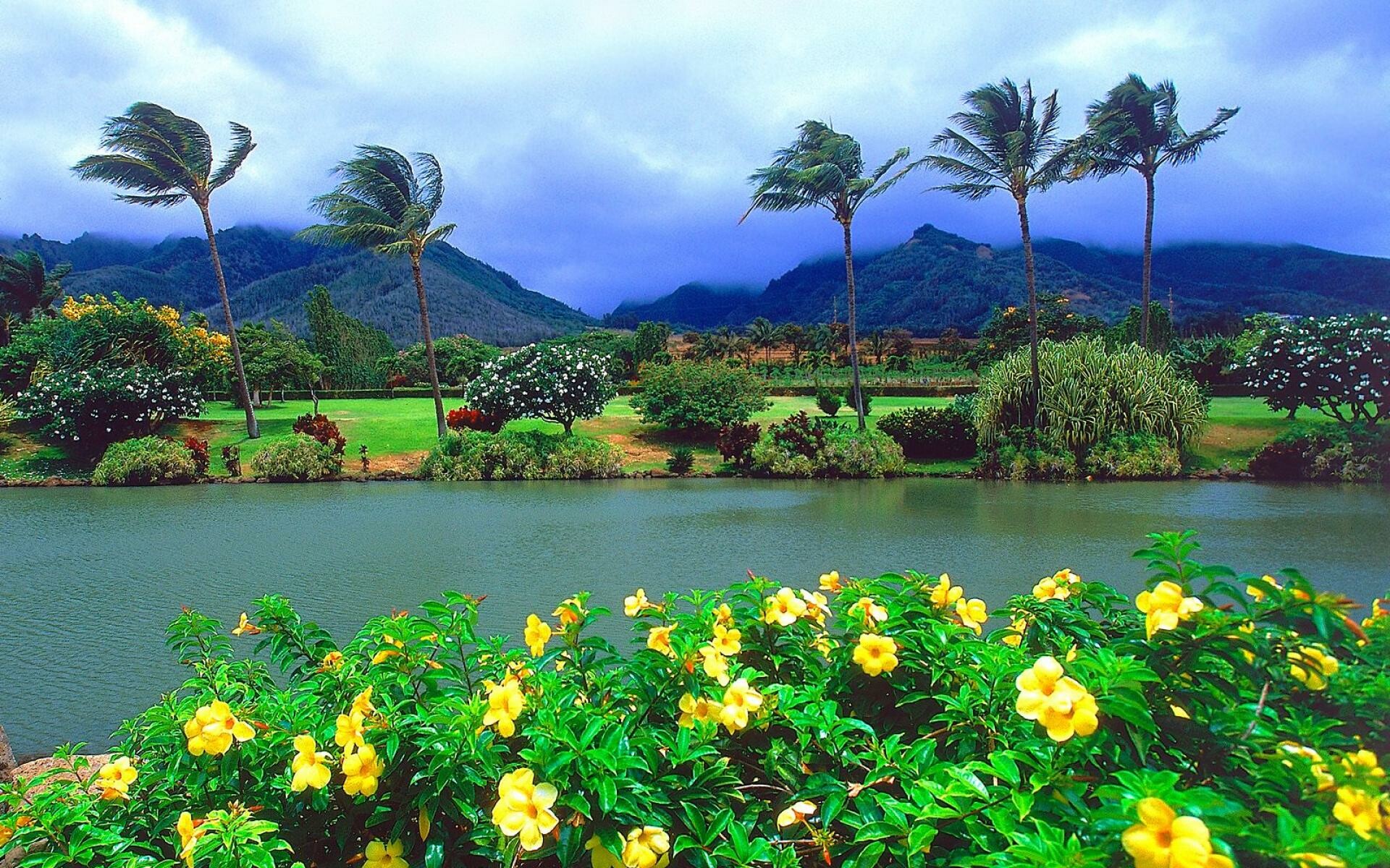 Maui (Hawaii): Windward side includes Paia, Haiku, Keanae, Hana, and Kipahulu, Island. 1920x1200 HD Background.