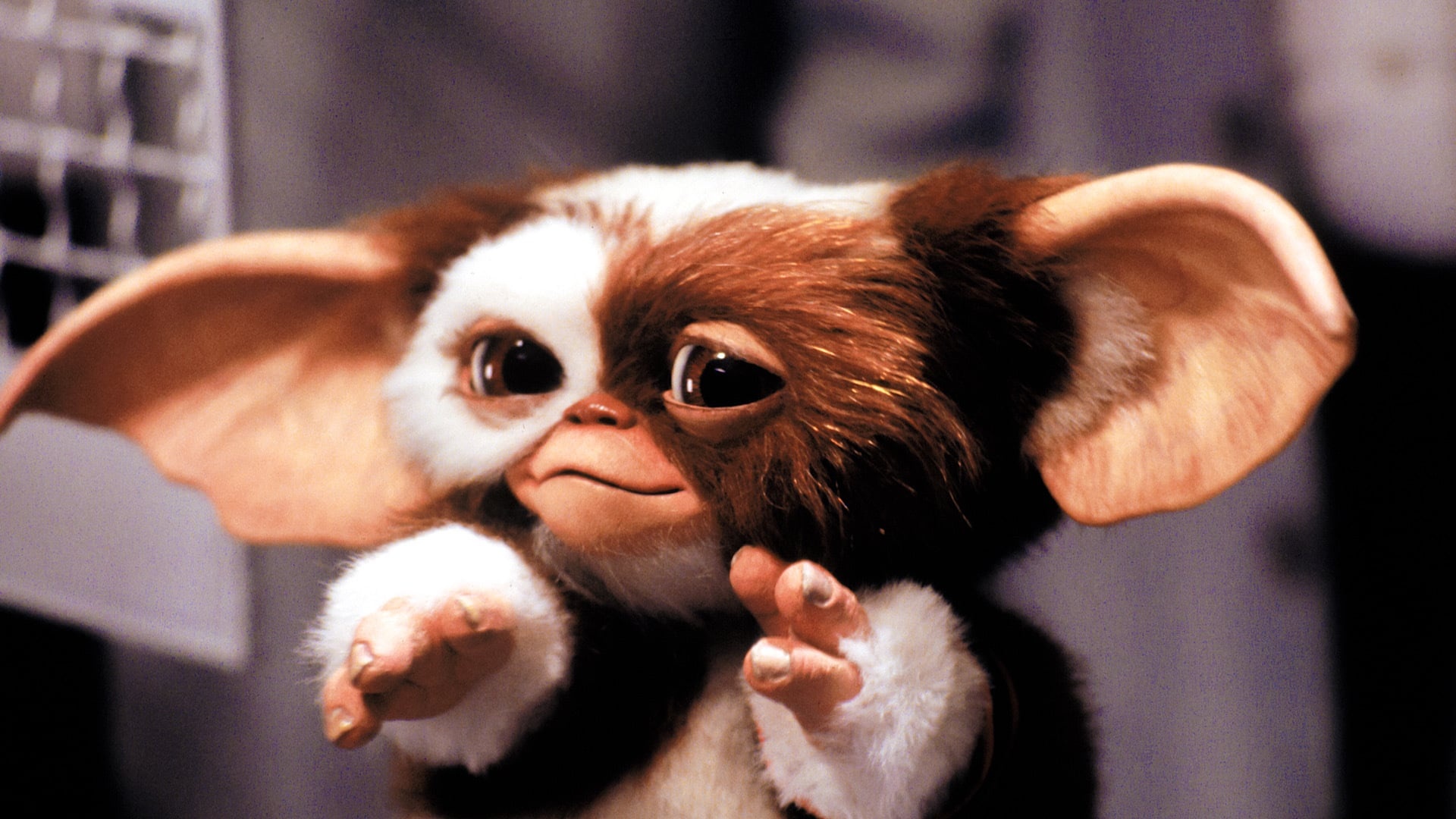 Gremlin Gizmo: The only known mogwai to not have a speck of hatred in him. 1920x1080 Full HD Background.