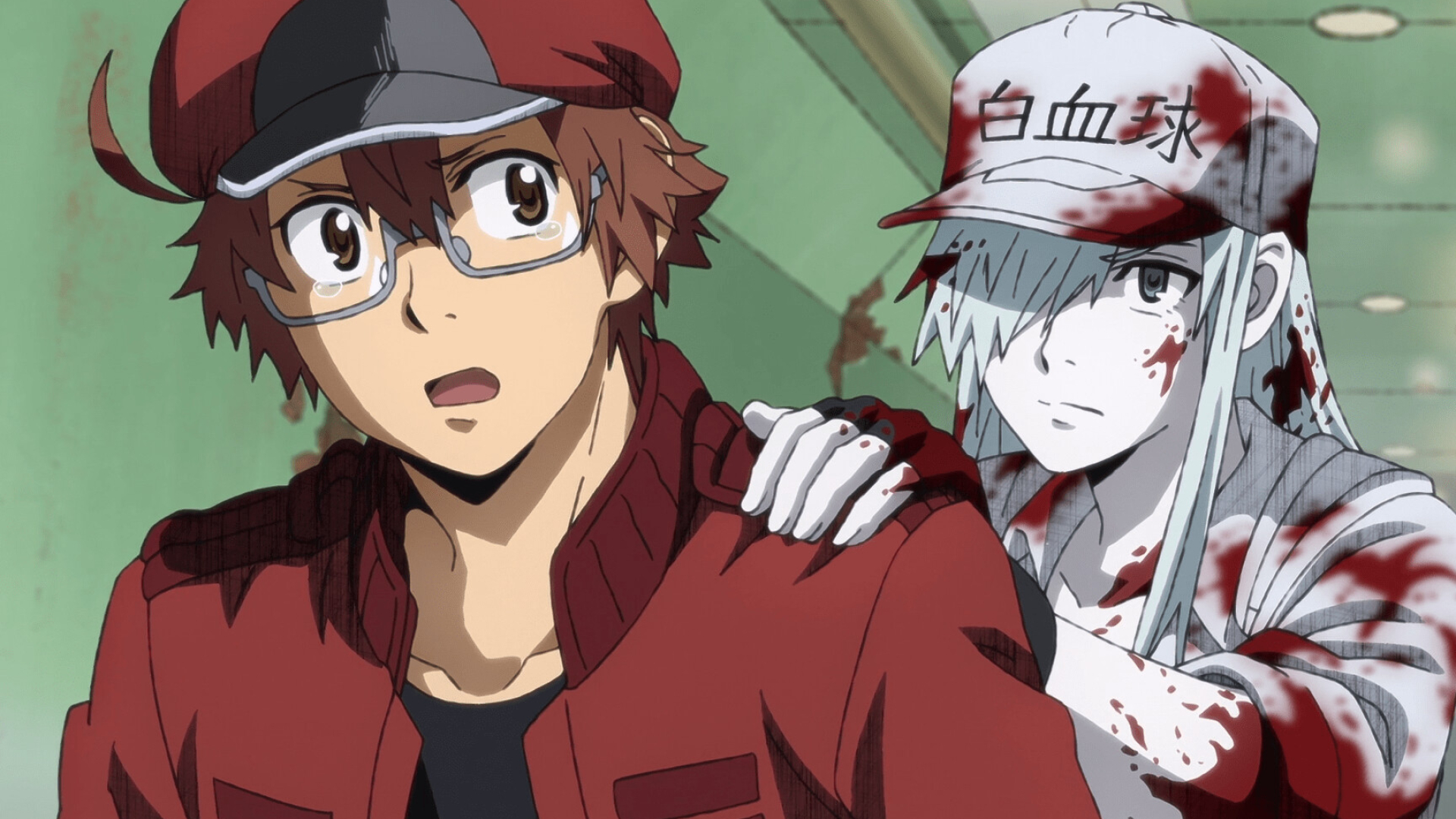 Cells at Work! Code Black: Comedy anime that follows the adventures of Red Blood Cell. 1920x1080 Full HD Wallpaper.