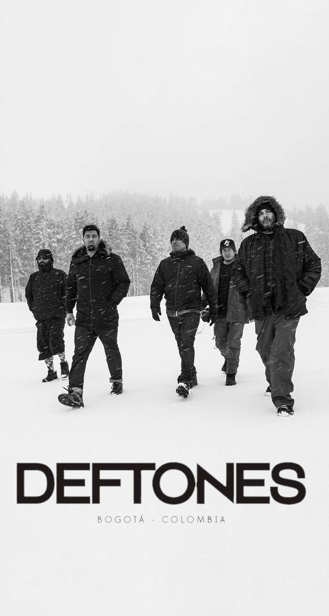 Deftones, Band wallpapers, Rock band posters, Heavy metal, 1140x2130 HD Phone