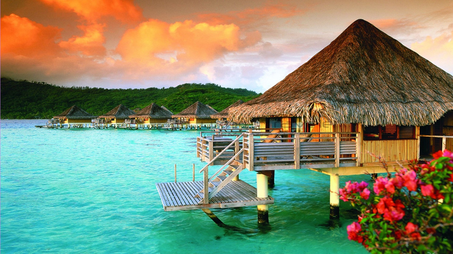 Tahiti, St. Regis Bora Bora, Luxury bungalows, Exquisite retreat, 1920x1080 Full HD Desktop