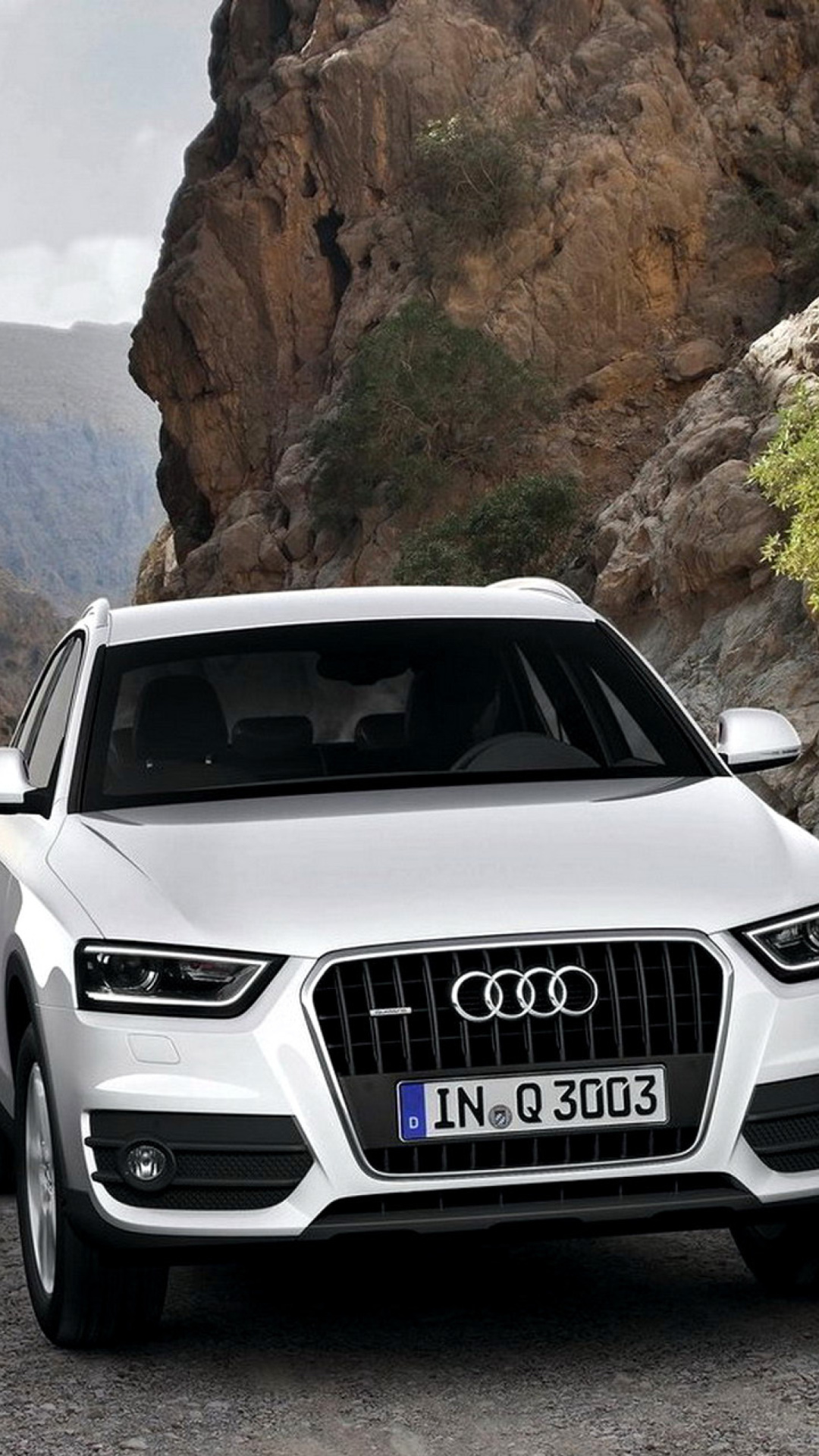 Audi Q5, Auto, iPhone wallpapers, Michelle Thompson, 1080x1920 Full HD Handy