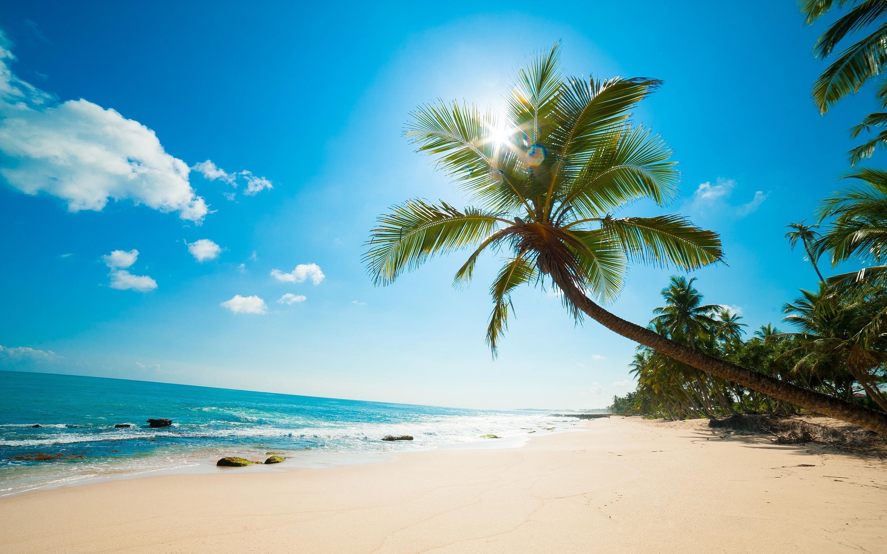 Hawaiian Beaches, Breathtaking hawaii beach views, Tropical getaways, Ocean paradise, 2880x1800 HD Desktop
