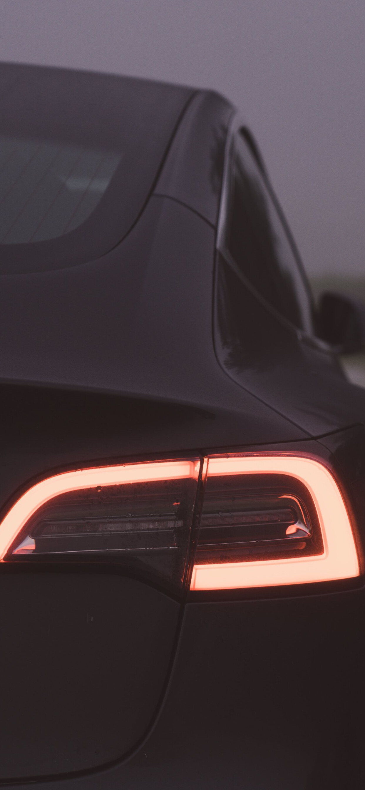 Tesla Model Y: A new silhouette was revealed by CEO Musk in June 2018. 1250x2690 HD Background.