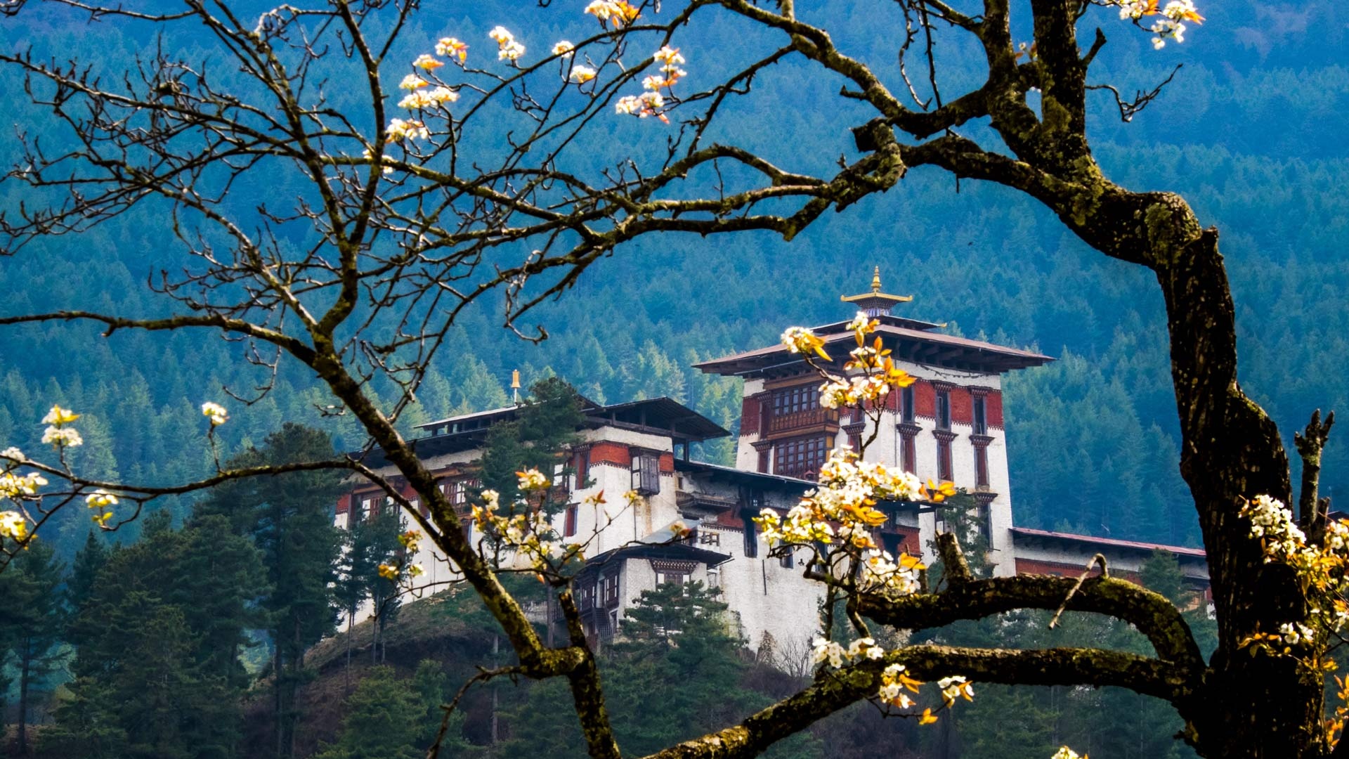 4-night, 5-day Bhutan tour, Nepal International Tours u0026 Treks, Cultural immersion, Unforgettable memories, 1920x1080 Full HD Desktop