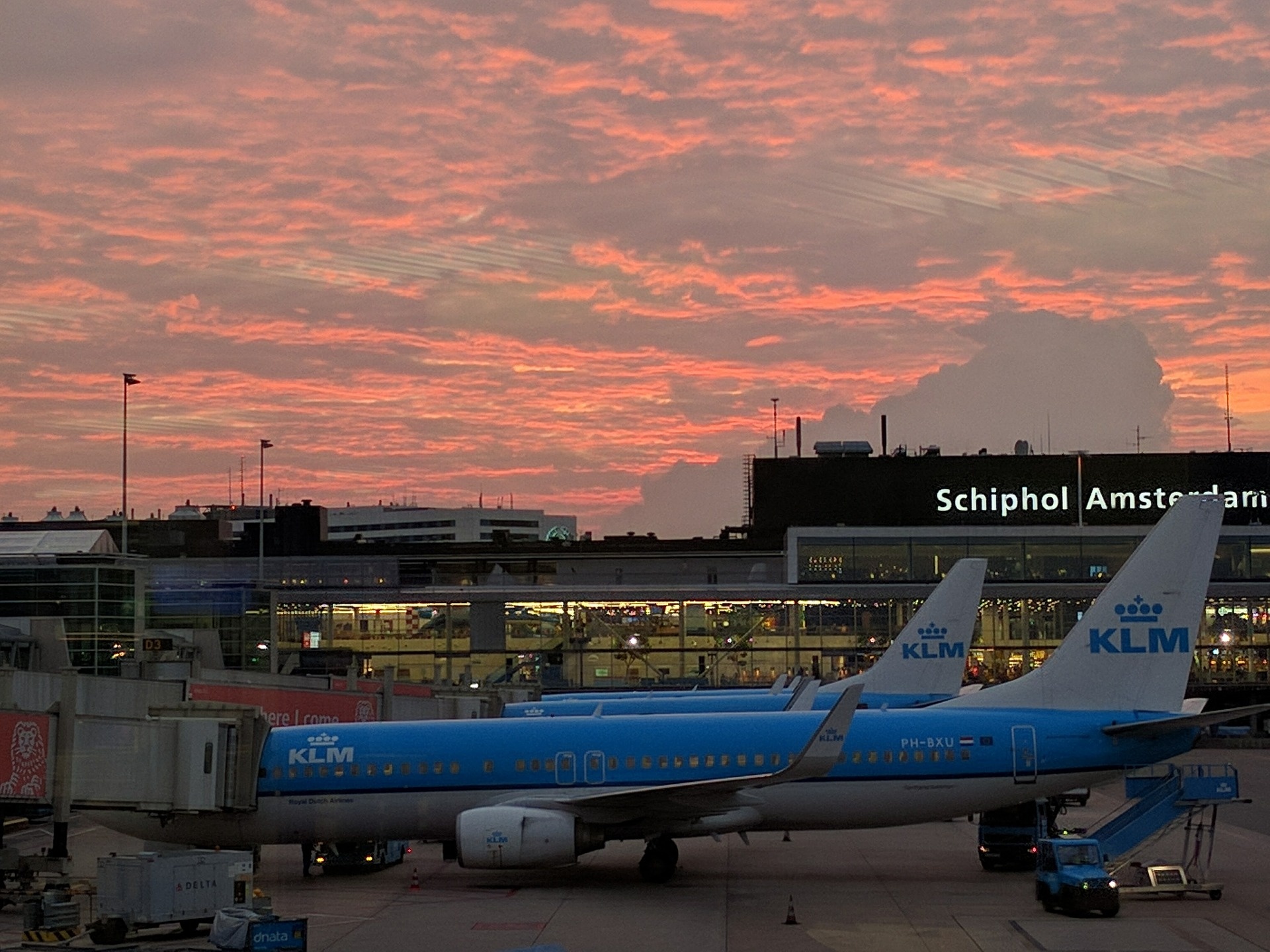 Amsterdam-Schiphol Airport, Stowaway survival, Flight incident, Dispatch report, 1920x1440 HD Desktop