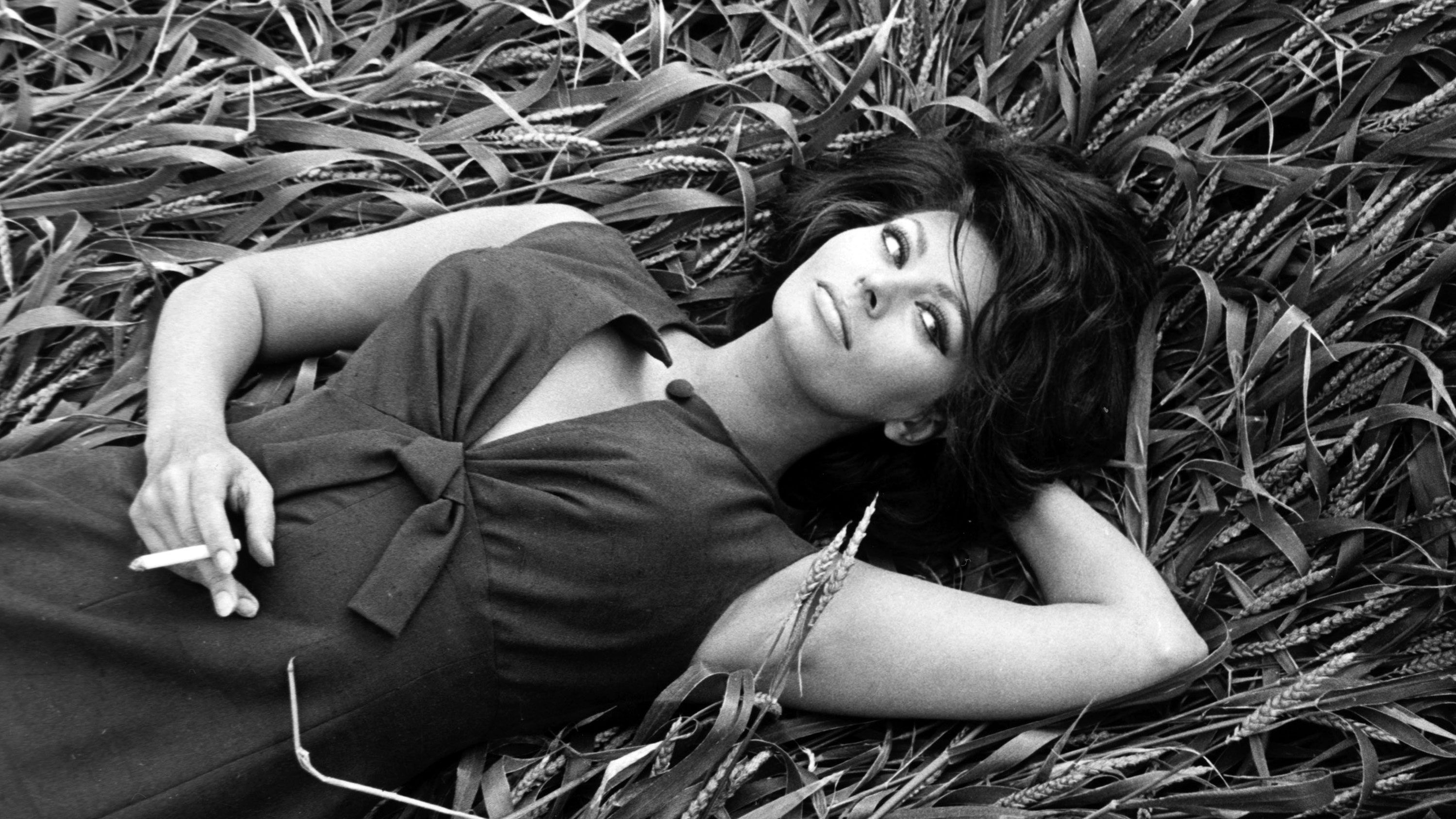Sophia Loren movies, Top wallpapers, Stunning backgrounds, Classic beauty, 3000x1690 HD Desktop
