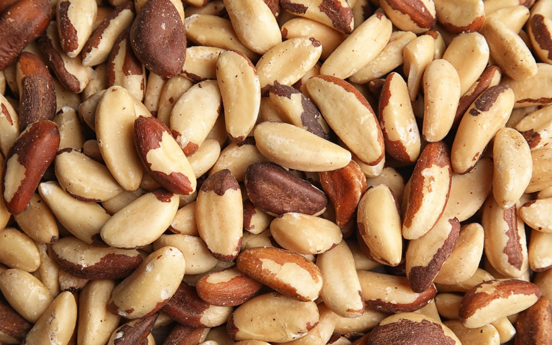 Brazil Nuts: Rich in selenium, One nut containing 96 mcg, Seeds. 1920x1200 HD Background.