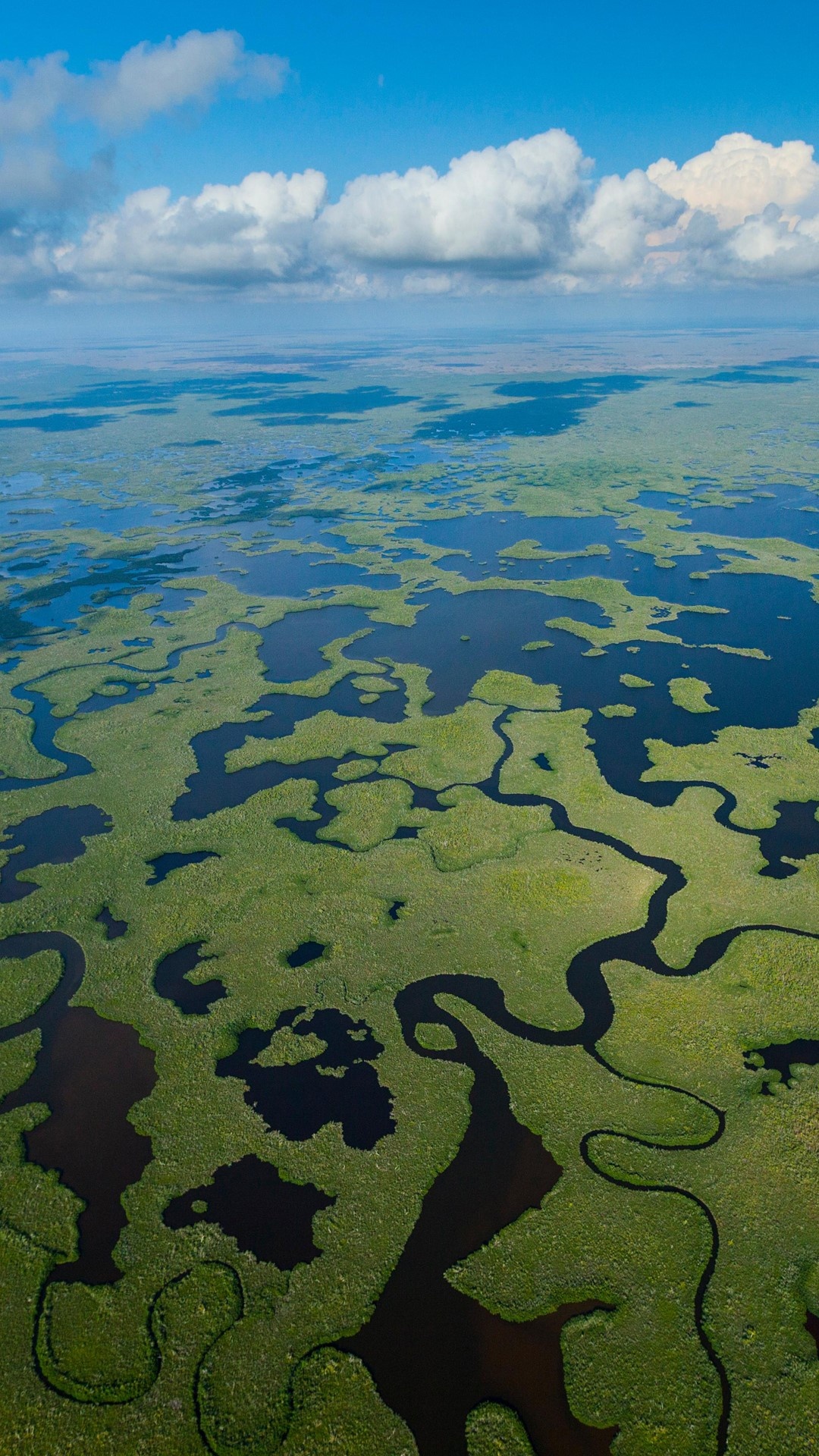 Wetland aerial view, Everglades National Park, Florida, USA, 1080x1920 Full HD Phone
